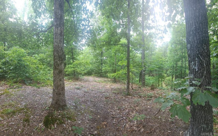 Do you want a beautiful place to build your dream home? look no further. this property has 2 build spots cleared as well as water, electric and empower fiber internet. There is a ATV trail that goes around the property. There is a Shop that remains on the property. Come out and fall in love with the beautiful piece of this nature! It is breathtaking!