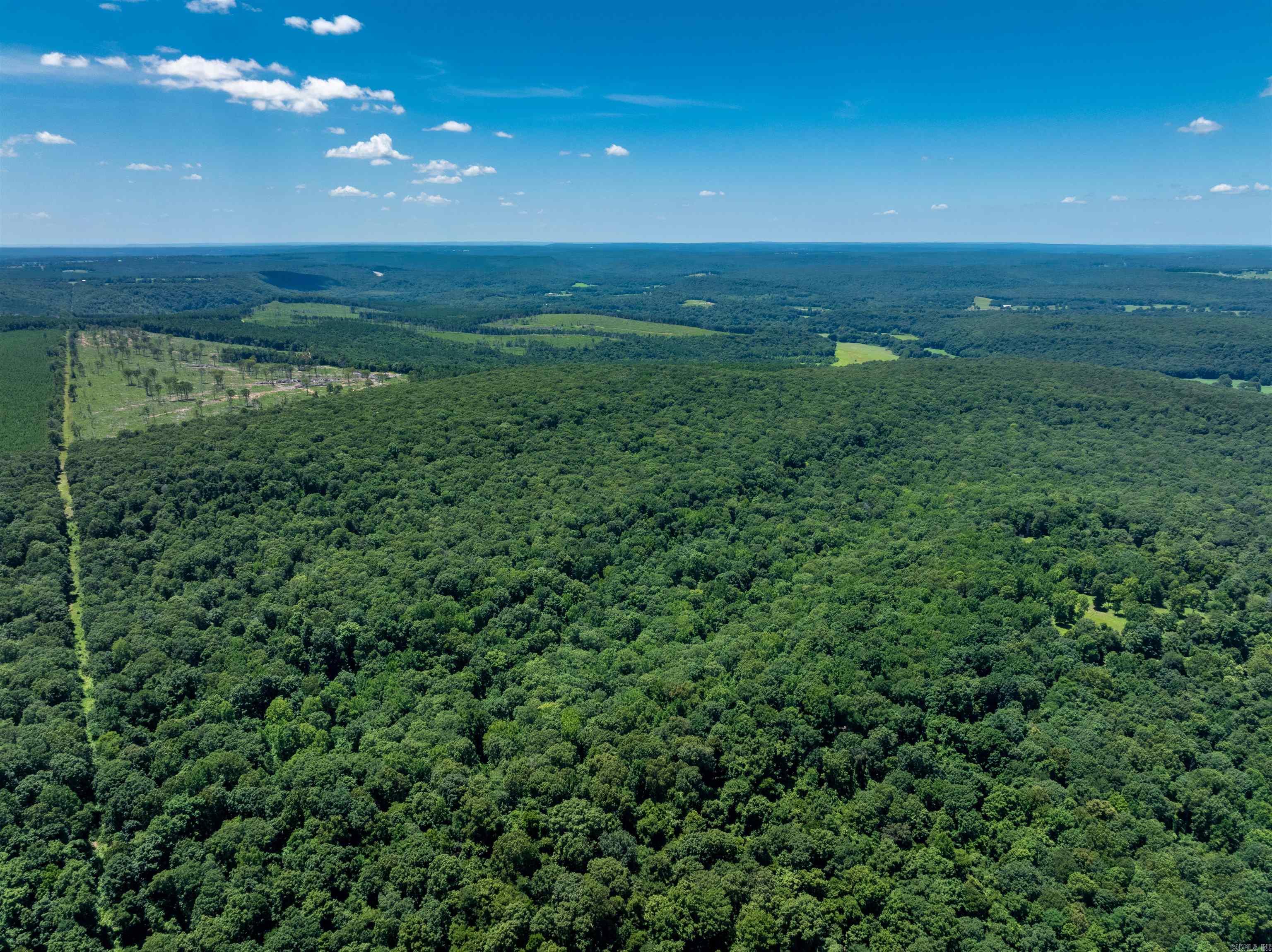 80 Acres – Timber Tract Priced to Sell – No Legal Access This 80-acre timber tract in Arkansas is loaded with mature timber and is priced to reflect a sight-unseen purchase due to no legal access. Current owners access the property only by verbal permission through a timber company—there is no deeded or written easement. Buyers will not be escorted onto the property. It is being sold as-is, and purchase will be made sight unseen. We have captured drone photos and video footage to help visualize the land — available upon request. After purchase, buyers may contact adjoining landowners to explore potential access. However, this will be solely between the buyer and neighboring landowners. Sellers are not pursuing legal access and wish to sell it in its current condition. This property has been in the family for many years, and they are ready to move on.