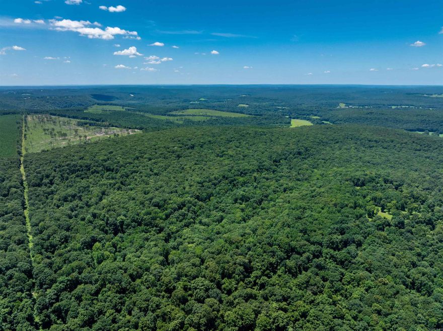 80 Acres – Timber Tract Priced to Sell – No Legal Access  This 80-acre timber tract in Arkansas is loaded with mature timber and is priced to reflect a sight-unseen purchase due to no legal access. Current owners access the property only by verbal permission through a timber company—there is no deeded or written easement.  Buyers will not be escorted onto the property. It is being sold as-is, and purchase will be made sight unseen.  We have captured drone photos and video footage to help visualize the land — available upon request.  After purchase, buyers may contact adjoining landowners to explore potential access. However, this will be solely between the buyer and neighboring landowners. Sellers are not pursuing legal access and wish to sell it in its current condition. This property has been in the family for many years, and they are ready to move on.