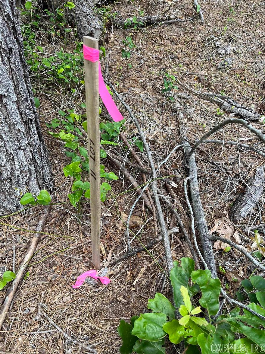 3.22 acres+/-  LOOK!  Mobile home friendly!   You can build or put the new mobile home right on this property . Restriction will apply. Rural Water will be on the opposite side of the road.