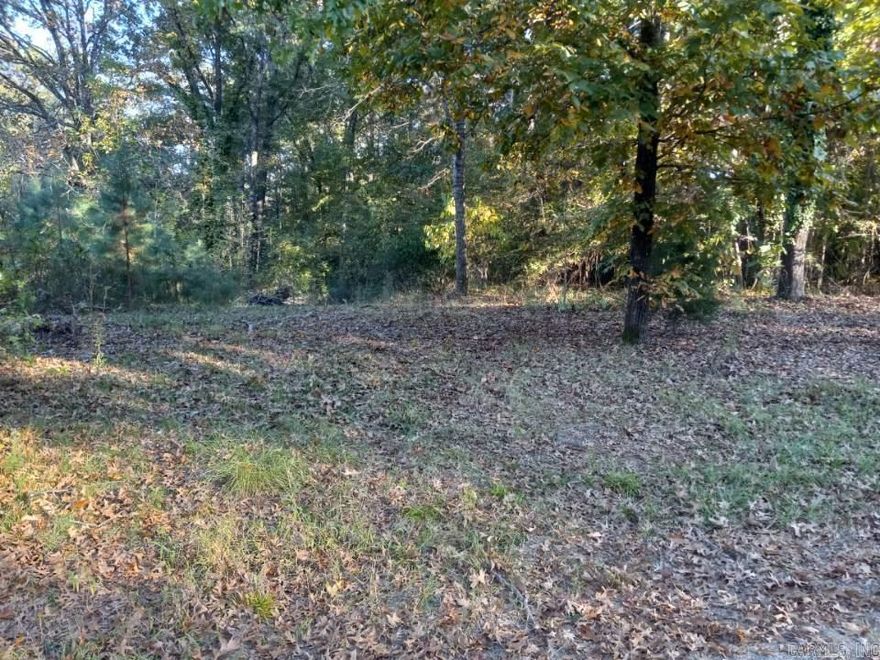 Nestled in the heart of Camden, this exceptional residential lot spans 0.49 acres and presents an incredible opportunity to build your dream home. Located on the Mimosa Avenue, this parcel offers a perfect canvas for creating a custom living space in a well-established neighborhood. Buyers Agent to verify all details.