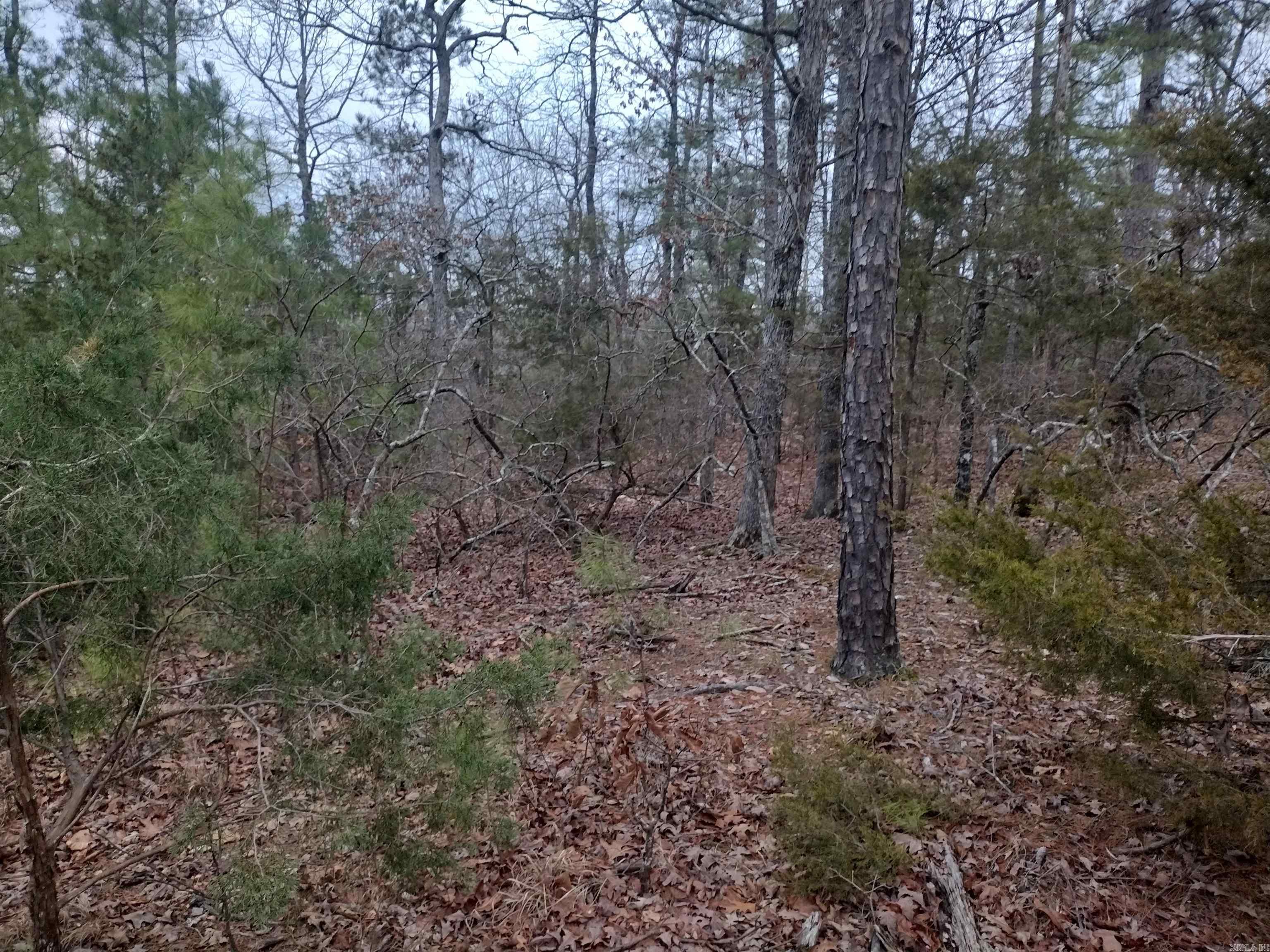 Metes & Bounds - Land