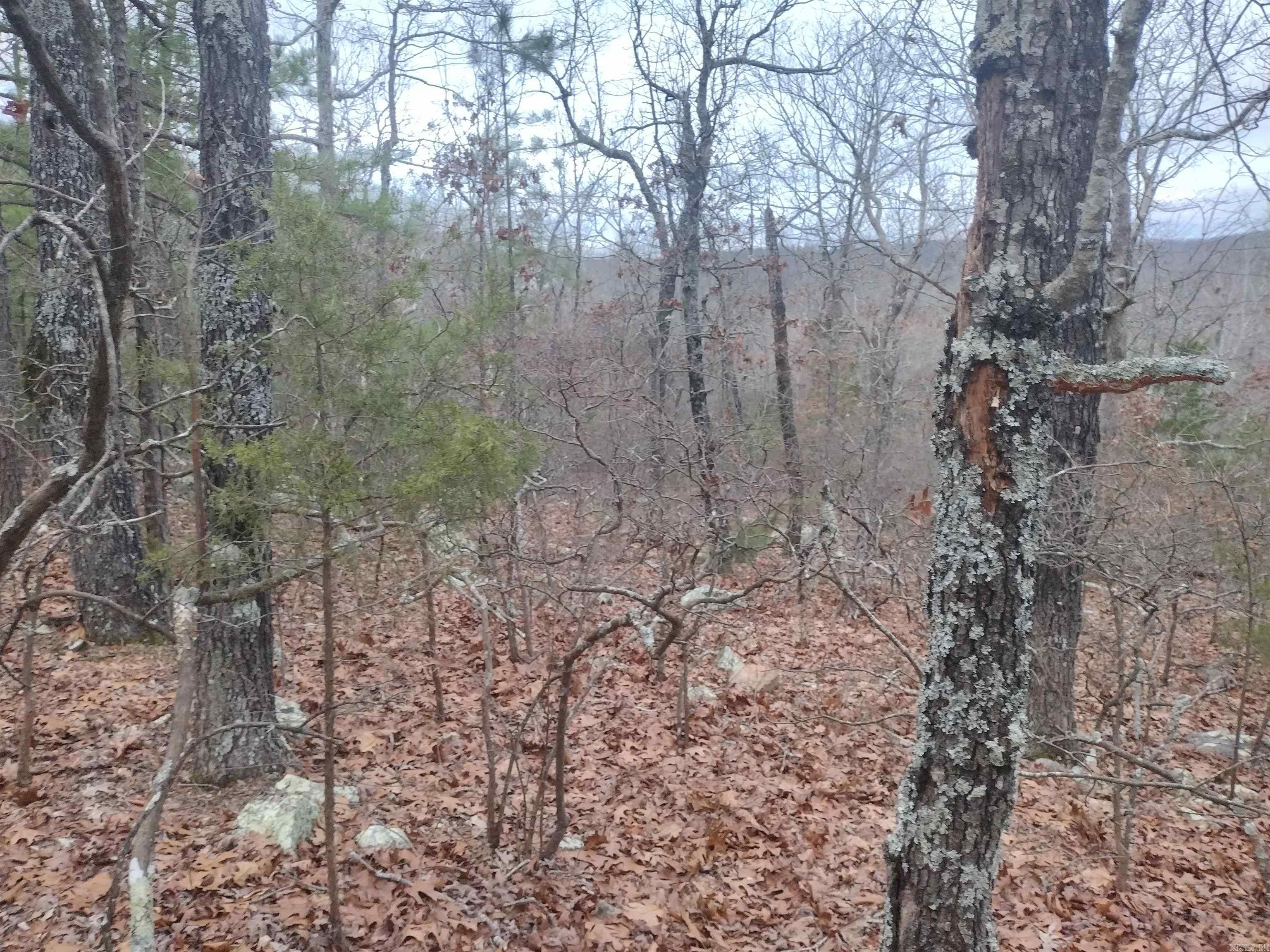 Metes & Bounds - Land