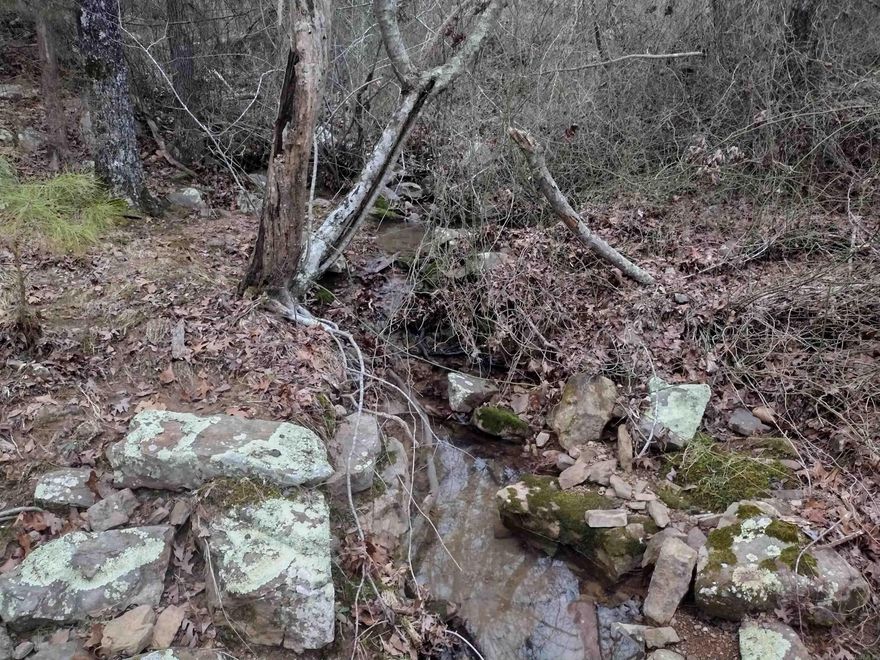 Desiring a spot that boast a picturesque view, gentle stream, wooded surroundings and ample privacy, conveniently located about 15 minutes to town