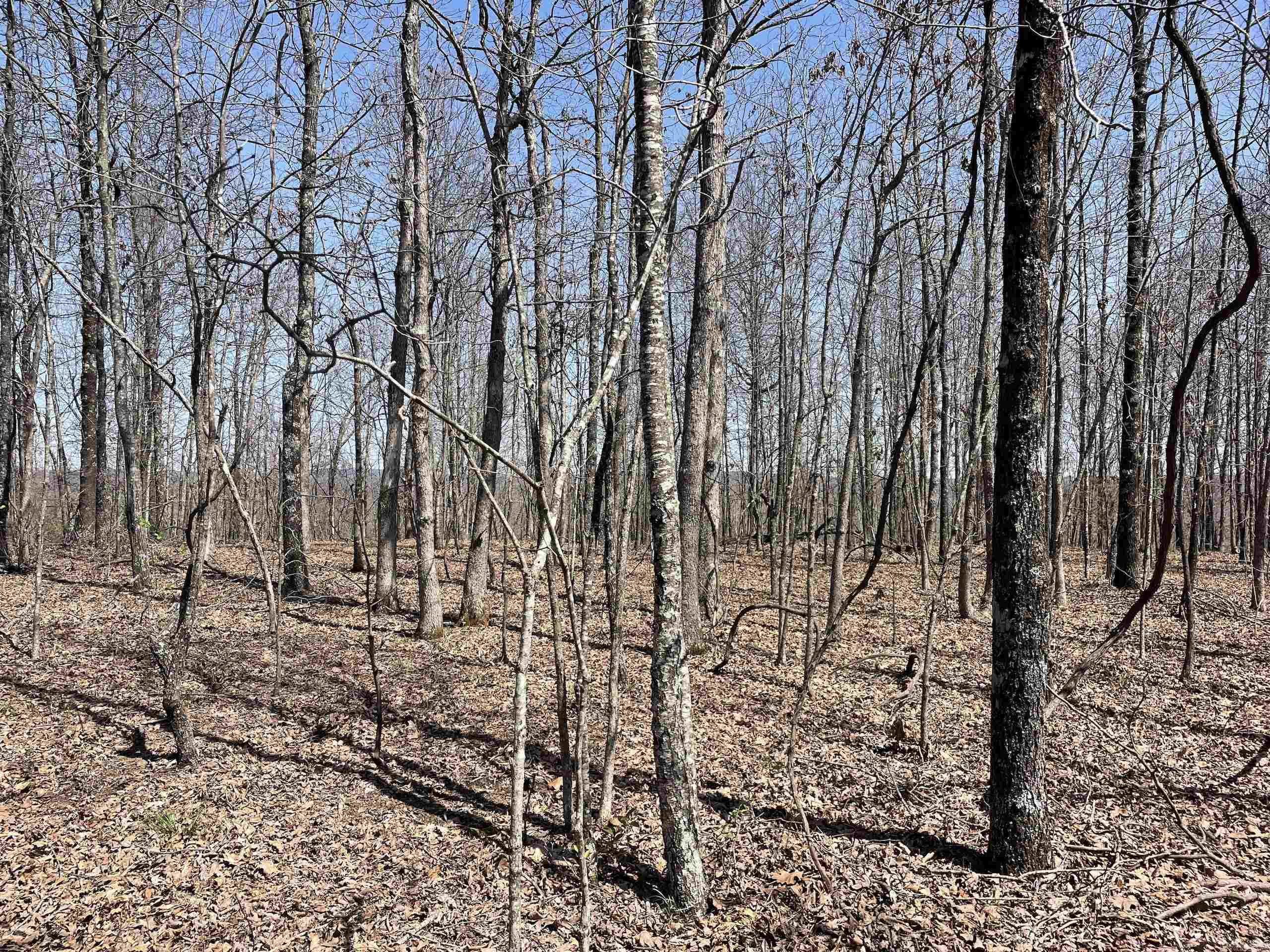 Not in Subdivision - Land