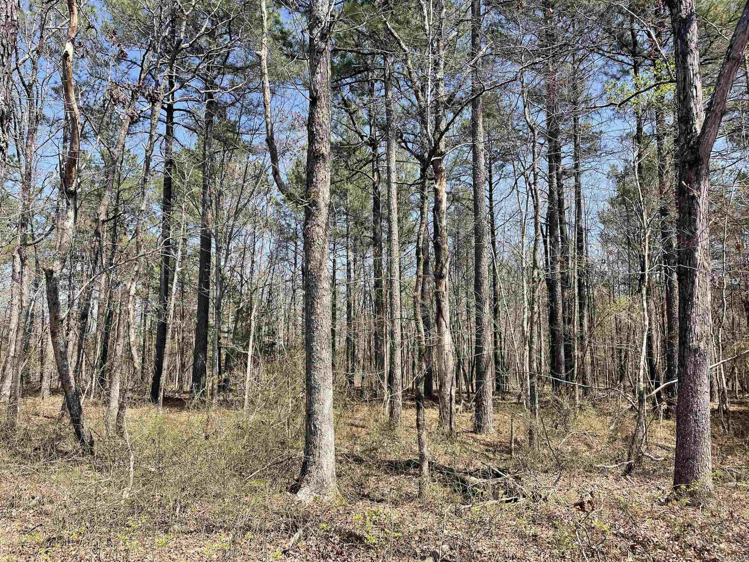 Not in Subdivision - Land