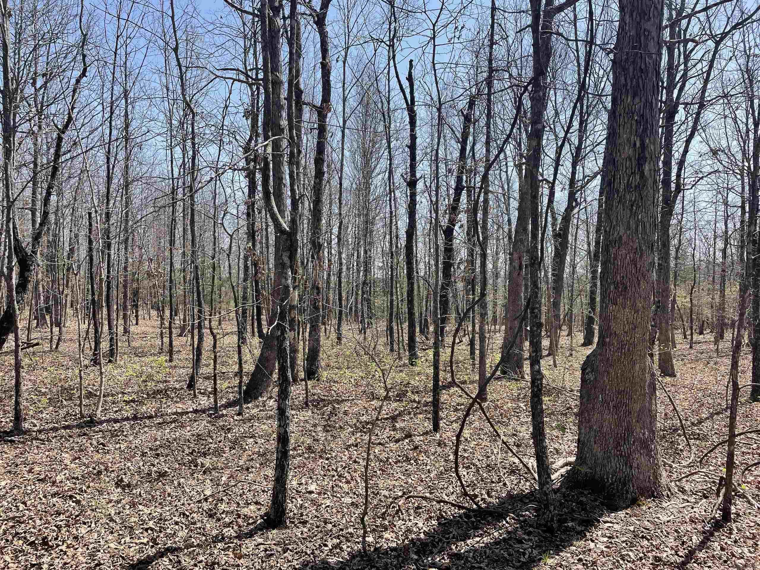 Not in Subdivision - Land