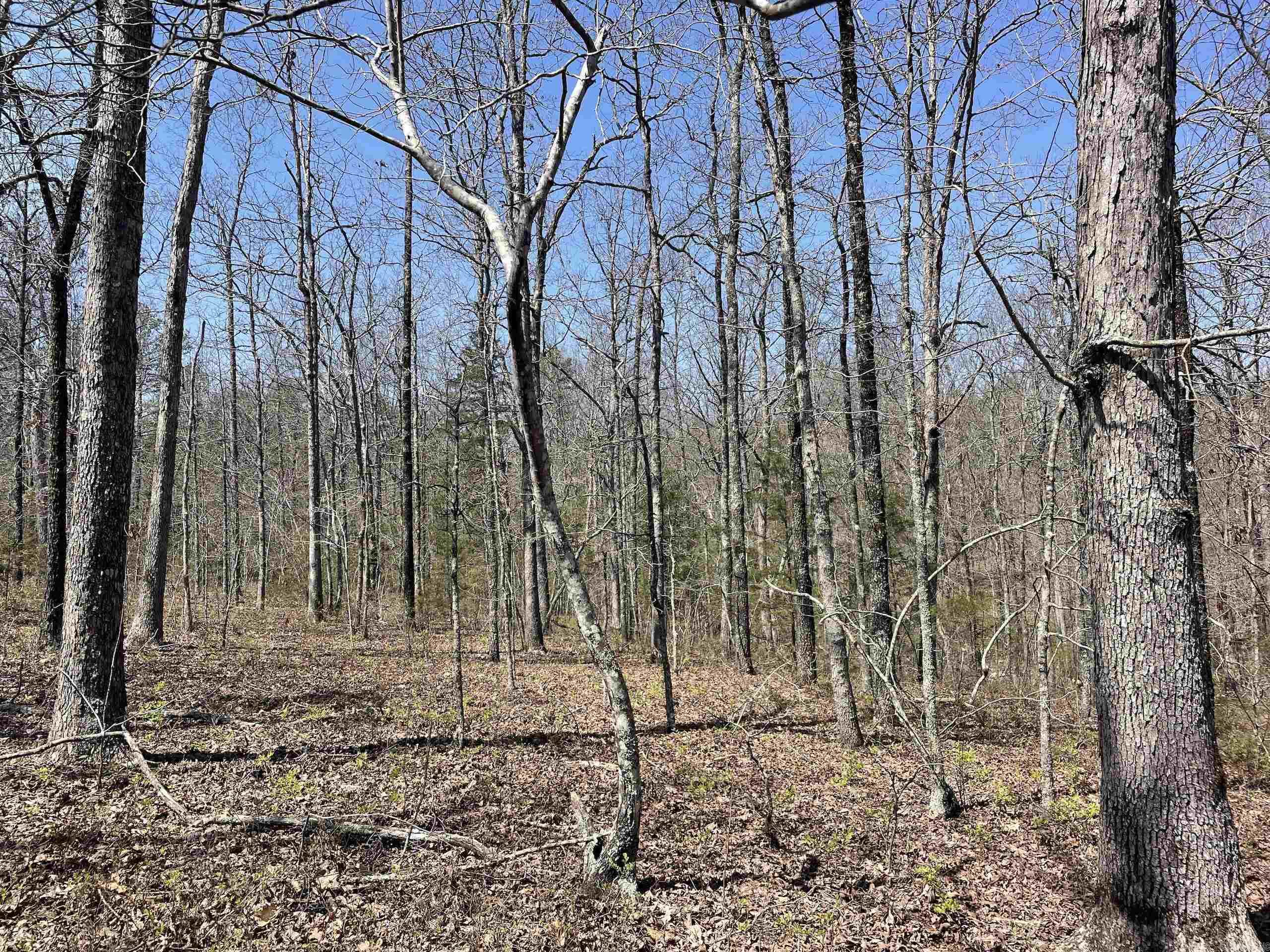 Not in Subdivision - Land