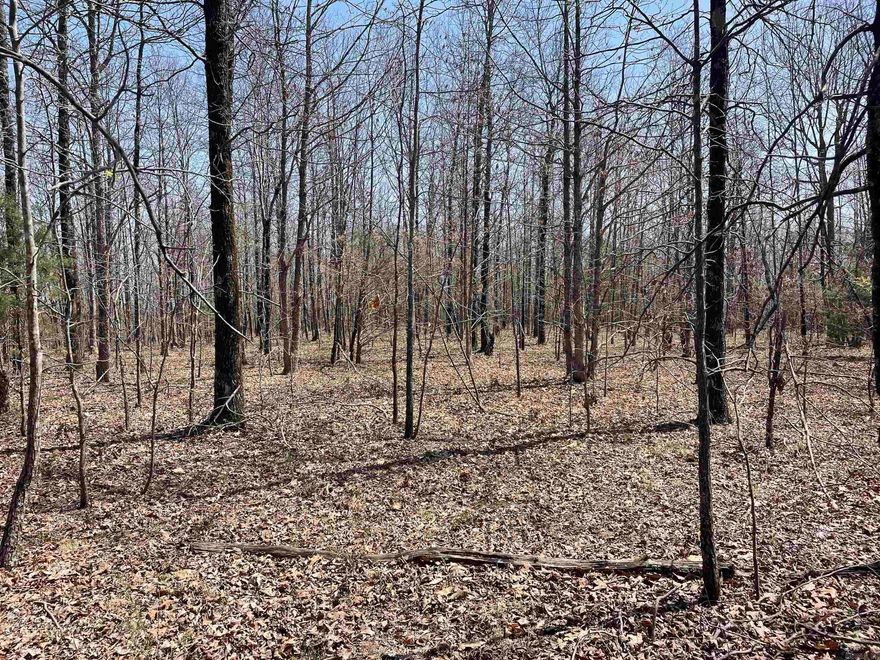 Escape to your own private hunting paradise! Tucked away from the hustle and bustle, this remote property is accessed via gated easement, ensuring complete seclusion. The landscape features young hardwood timber, natural rock formations, and breathtaking views. Utility easement openings create an ideal habitat for abundant wildlife, including deer, turkey, and black bear. Situated just minutes from the National Forest providing additional recreational possibilities. Whether you're looking to build a cozy cabin or establish a hunting camp, this property offers the perfect setting for your outdoor adventures. Don’t miss this rare opportunity to own a piece of unspoiled wilderness! More land available.