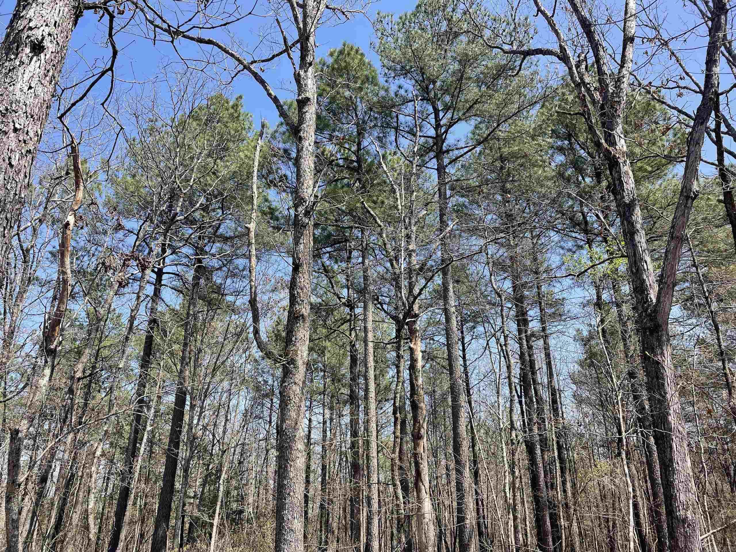 Not in Subdivision - Land