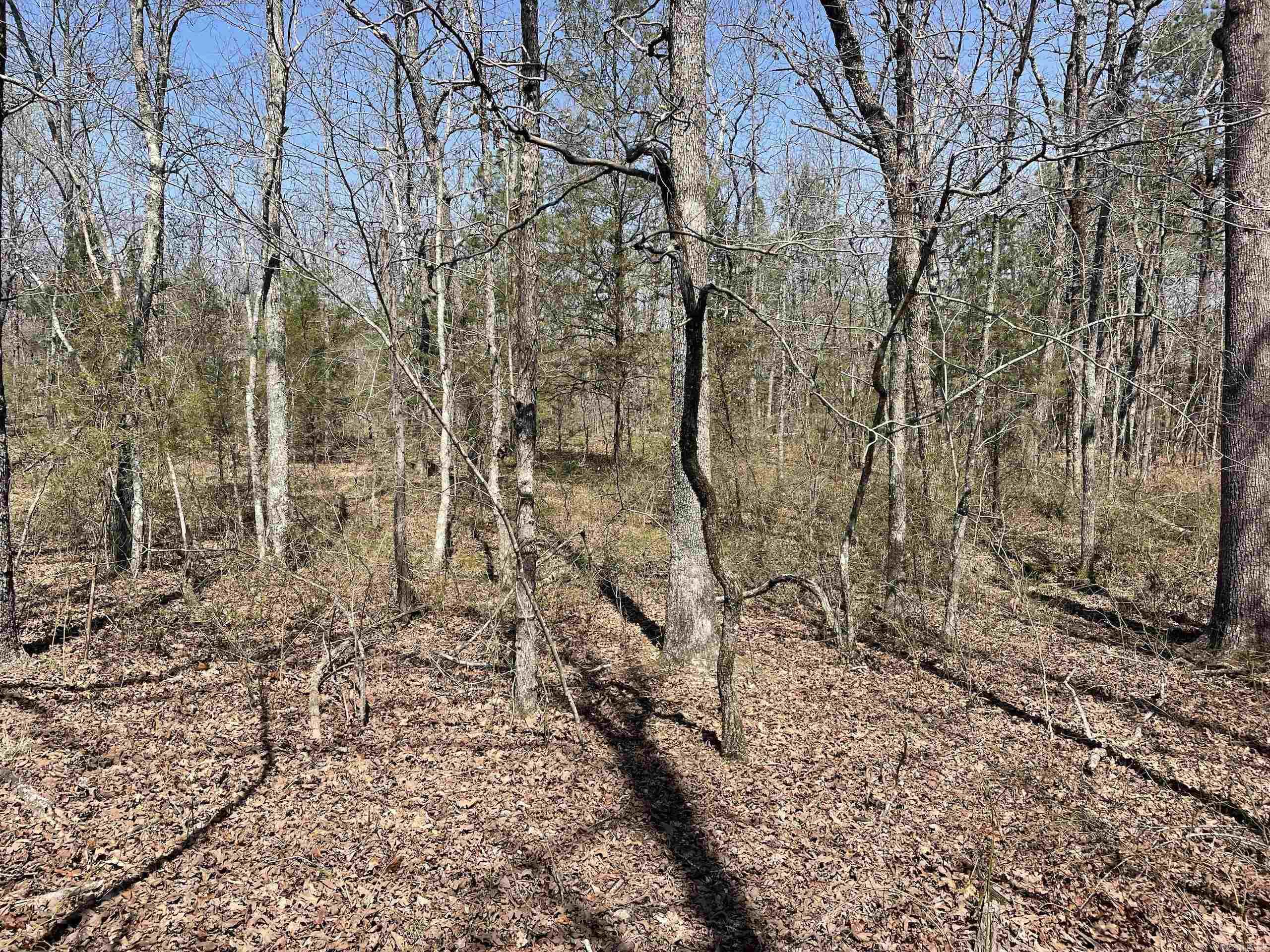 Not in Subdivision - Land