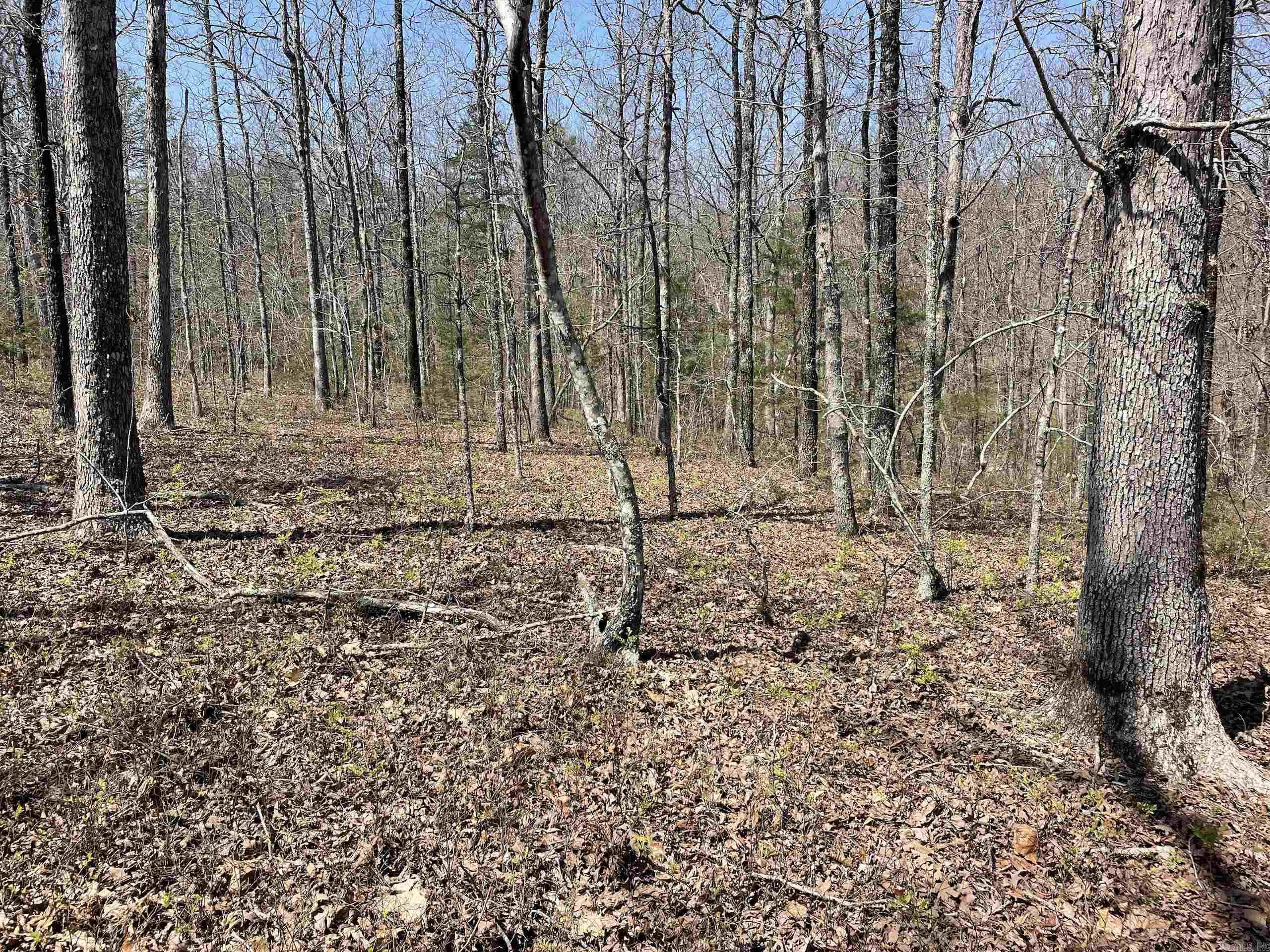 Not in Subdivision - Land