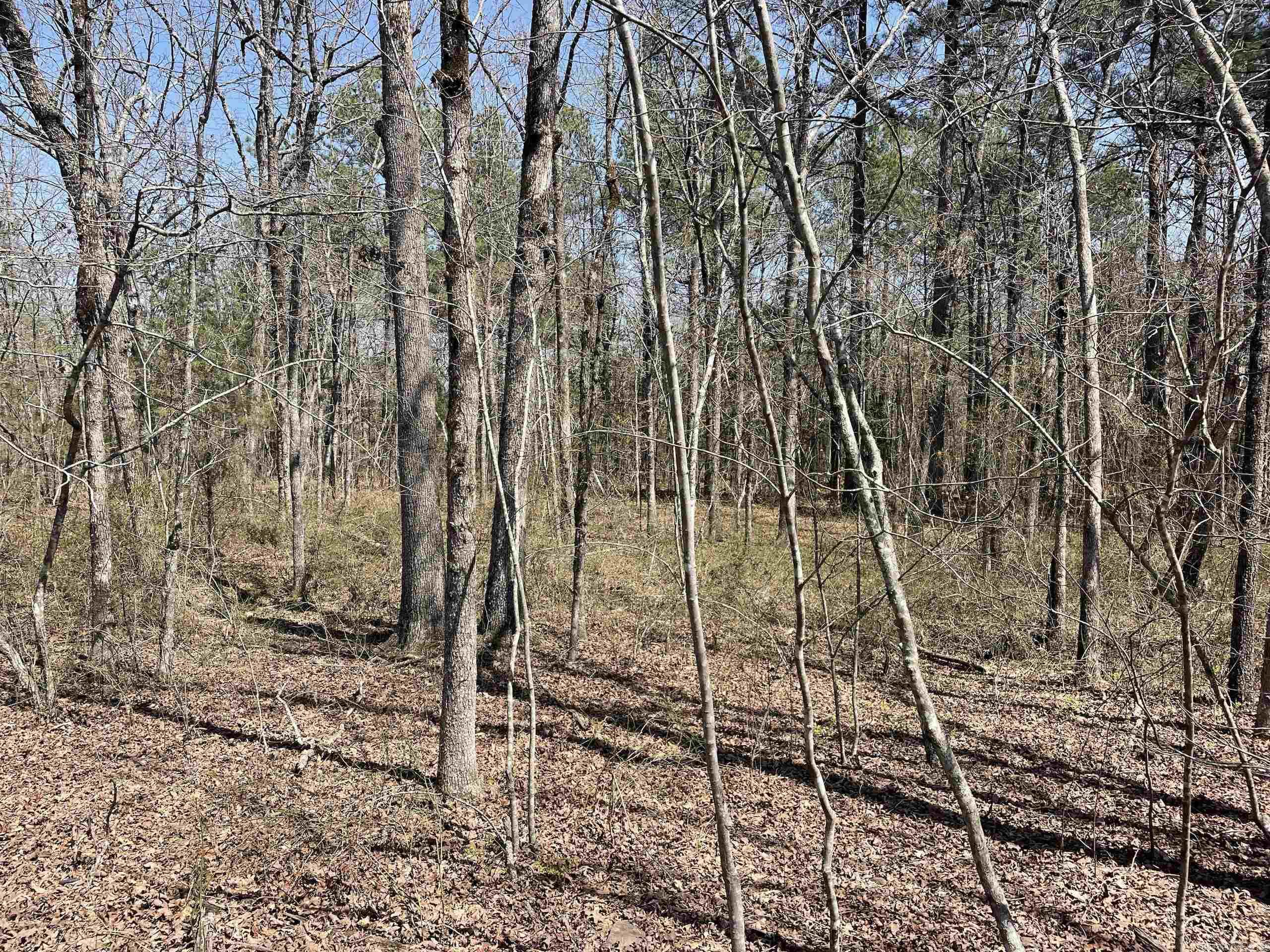 Not in Subdivision - Land