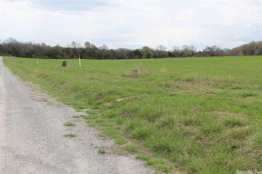Take your pick of one of these available lots, just a short distance to town. Lot is aprx .25ac. Subdivision has underground utilities to each lot. City sewer, city water, natural gas, electric and fiber optic cable. Pick your lot and build your dream home. New subdivision- Southside Meadows.
