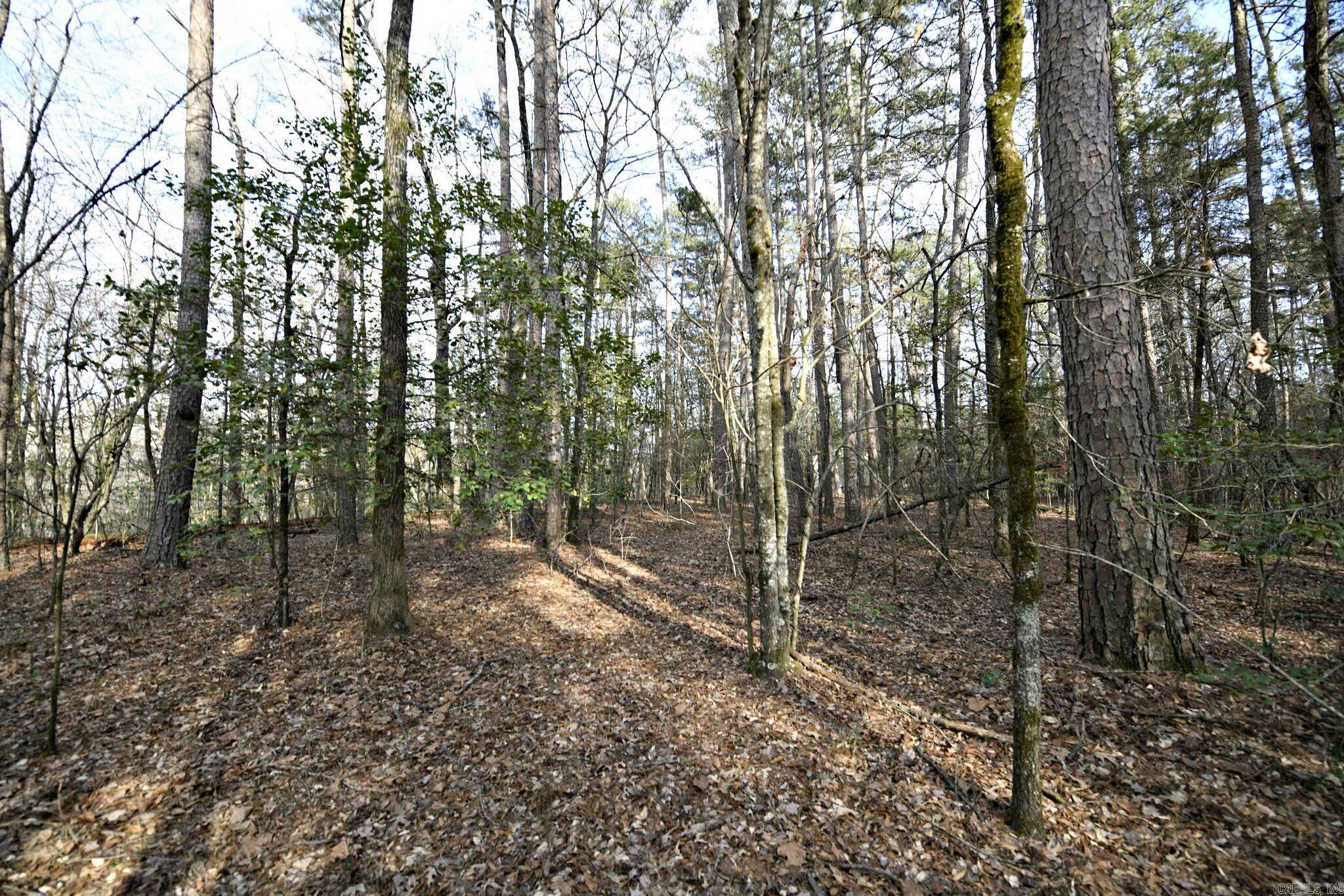 Mountain Fork - Land