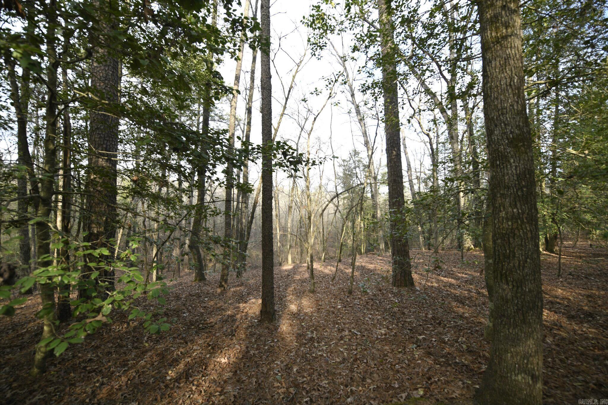 Mountain Fork - Land