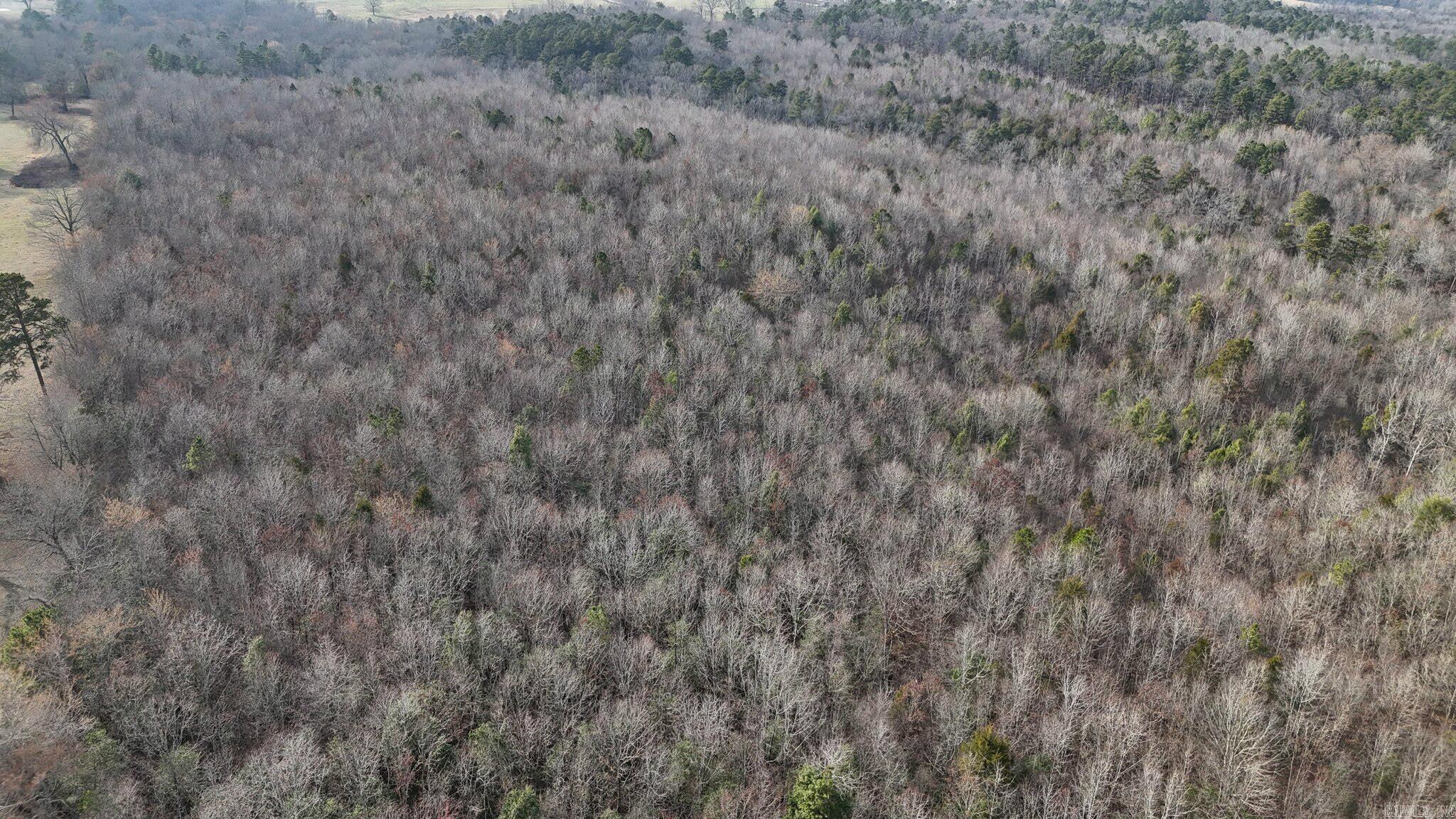 Mountain Fork - Land