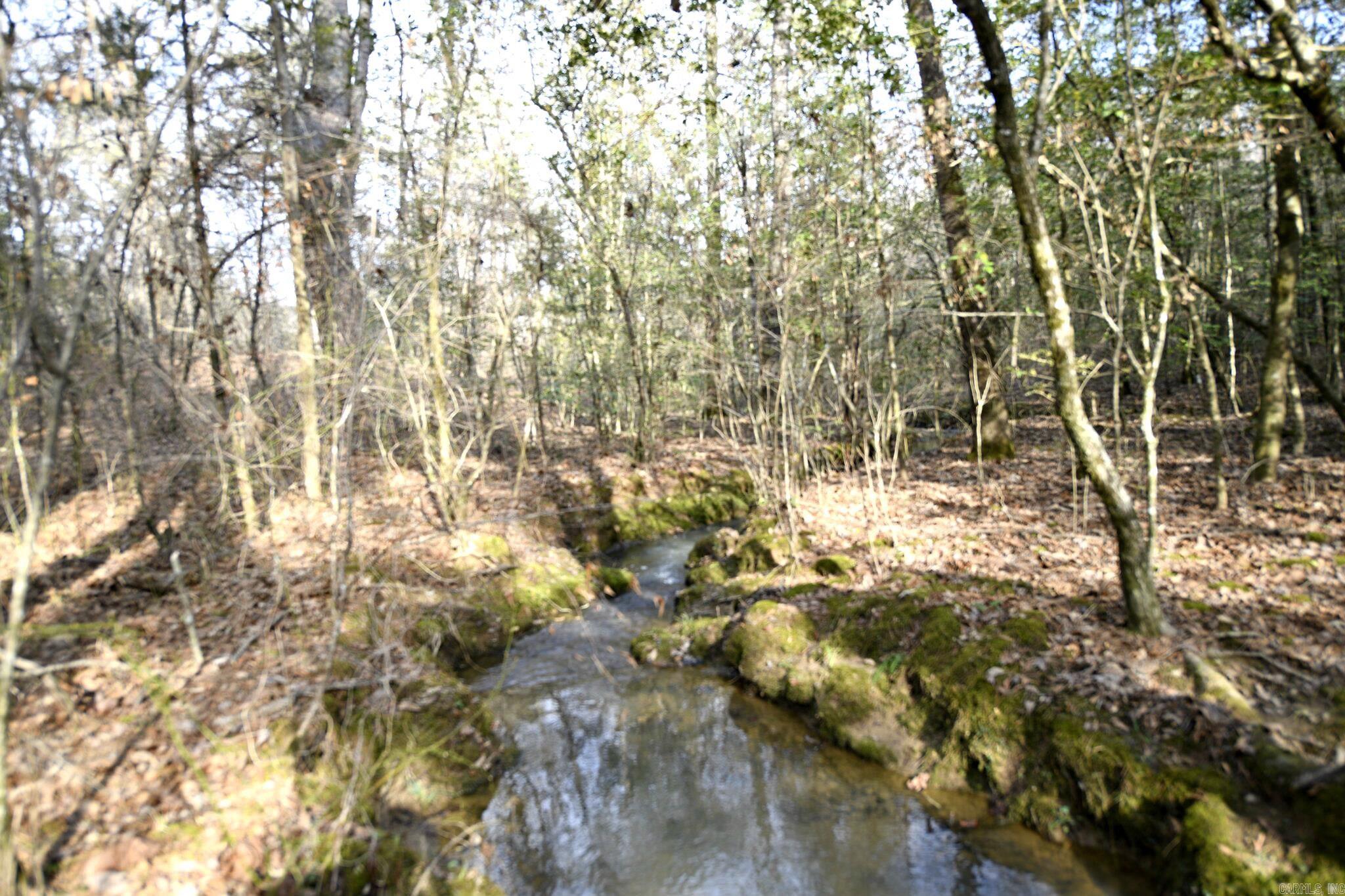 Mountain Fork - Land