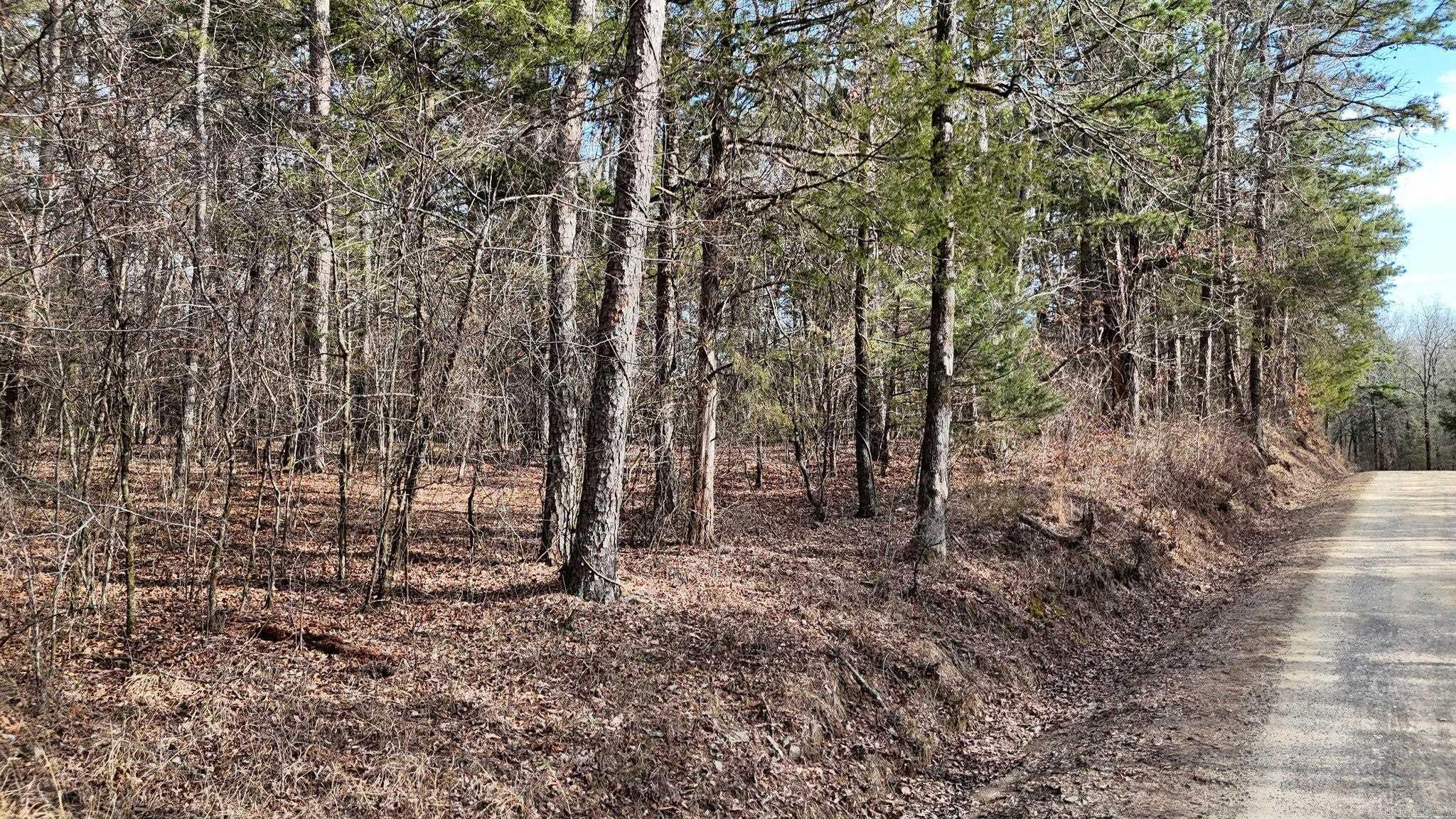 Mountain Fork - Land