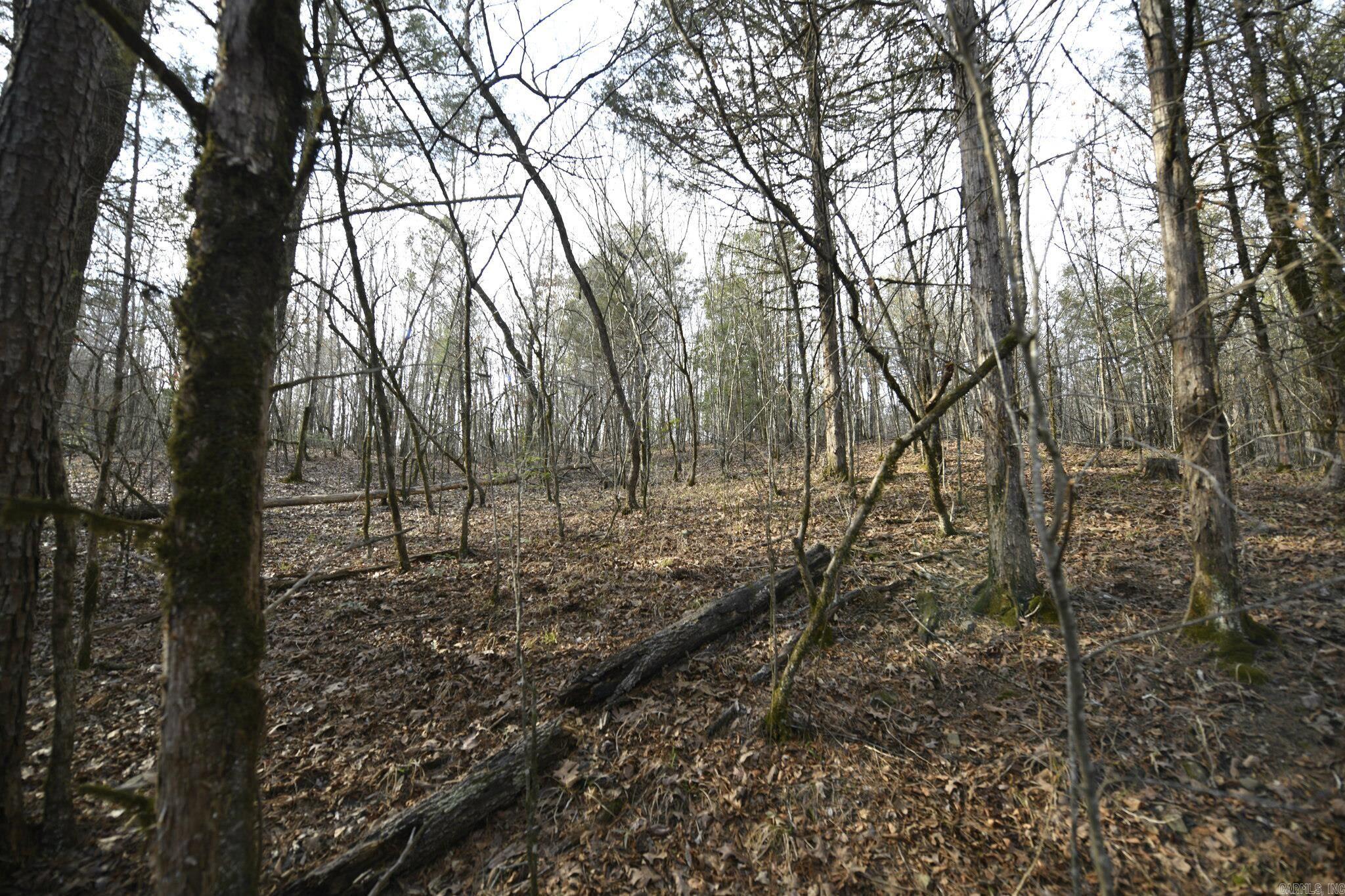 Mountain Fork - Land