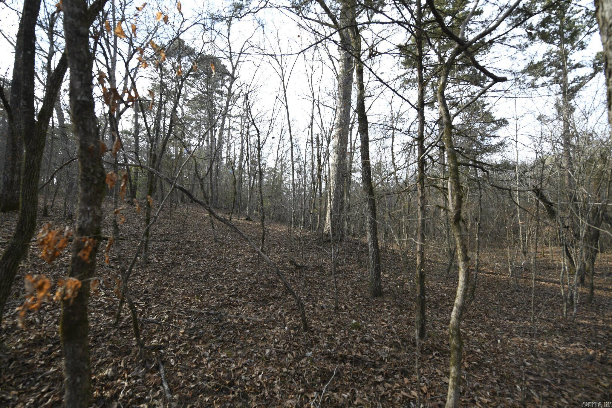 Mountain Fork - Land