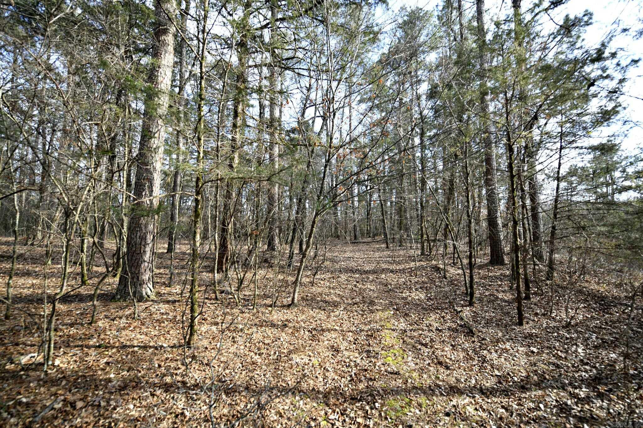 Mountain Fork - Land