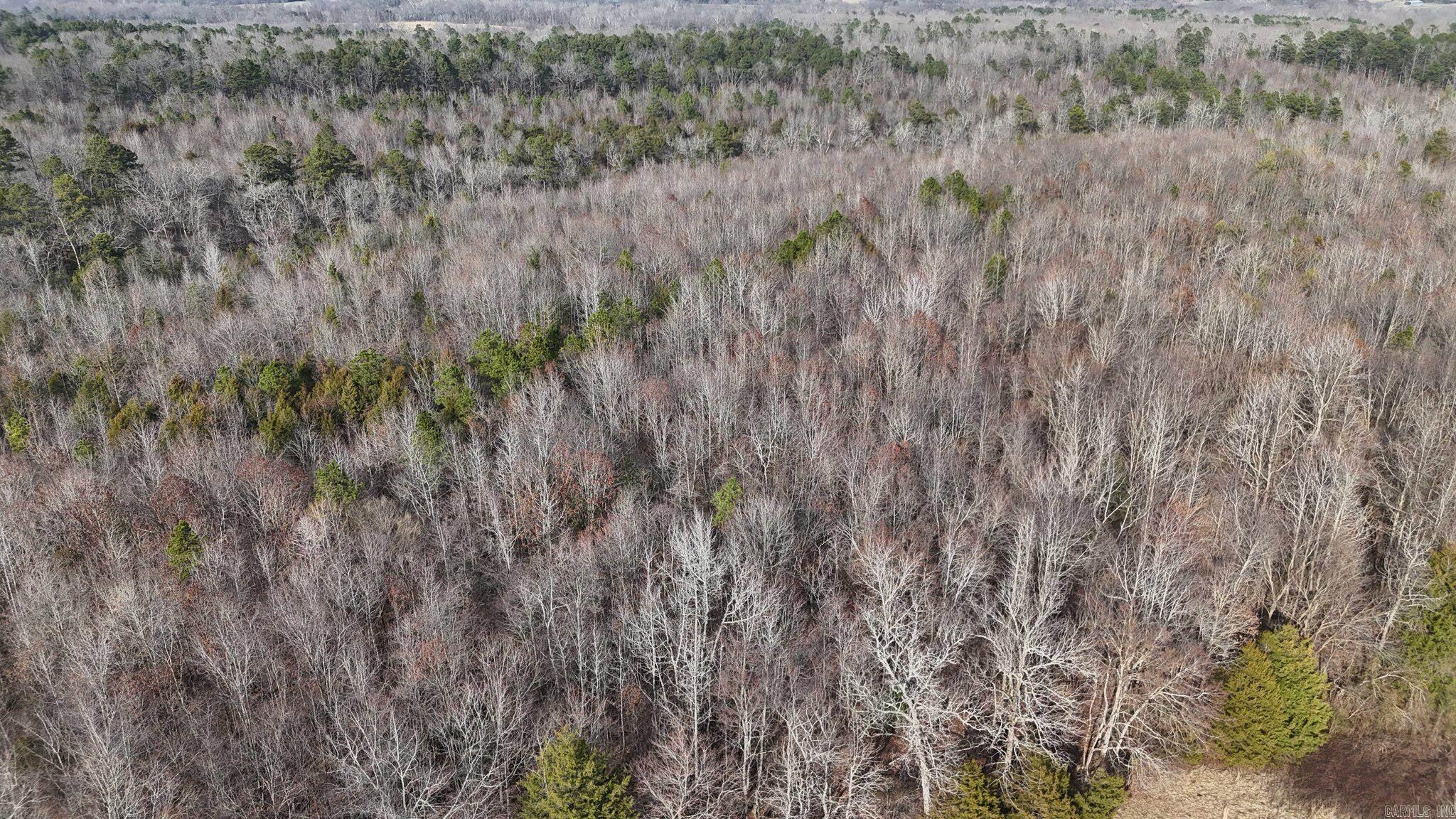 Mountain Fork - Land