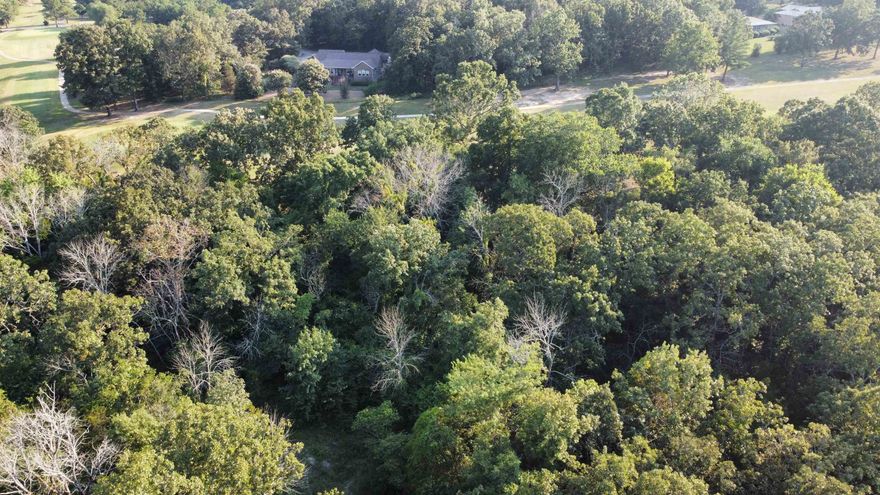 Discover the epitome of luxury living at 108 Par Circle, Horseshoe Bend, Arkansas. This prime lot, perched on a pristine golf course, sets the stage for your dream home. Imagine sweeping fairway views and a serene ambiance. Embrace a lifestyle where elegance meets comfort, in a place designed for refined living. Dive into the allure of one of Horseshoe Bend's most beautiful addresses. Ready to make your mark?