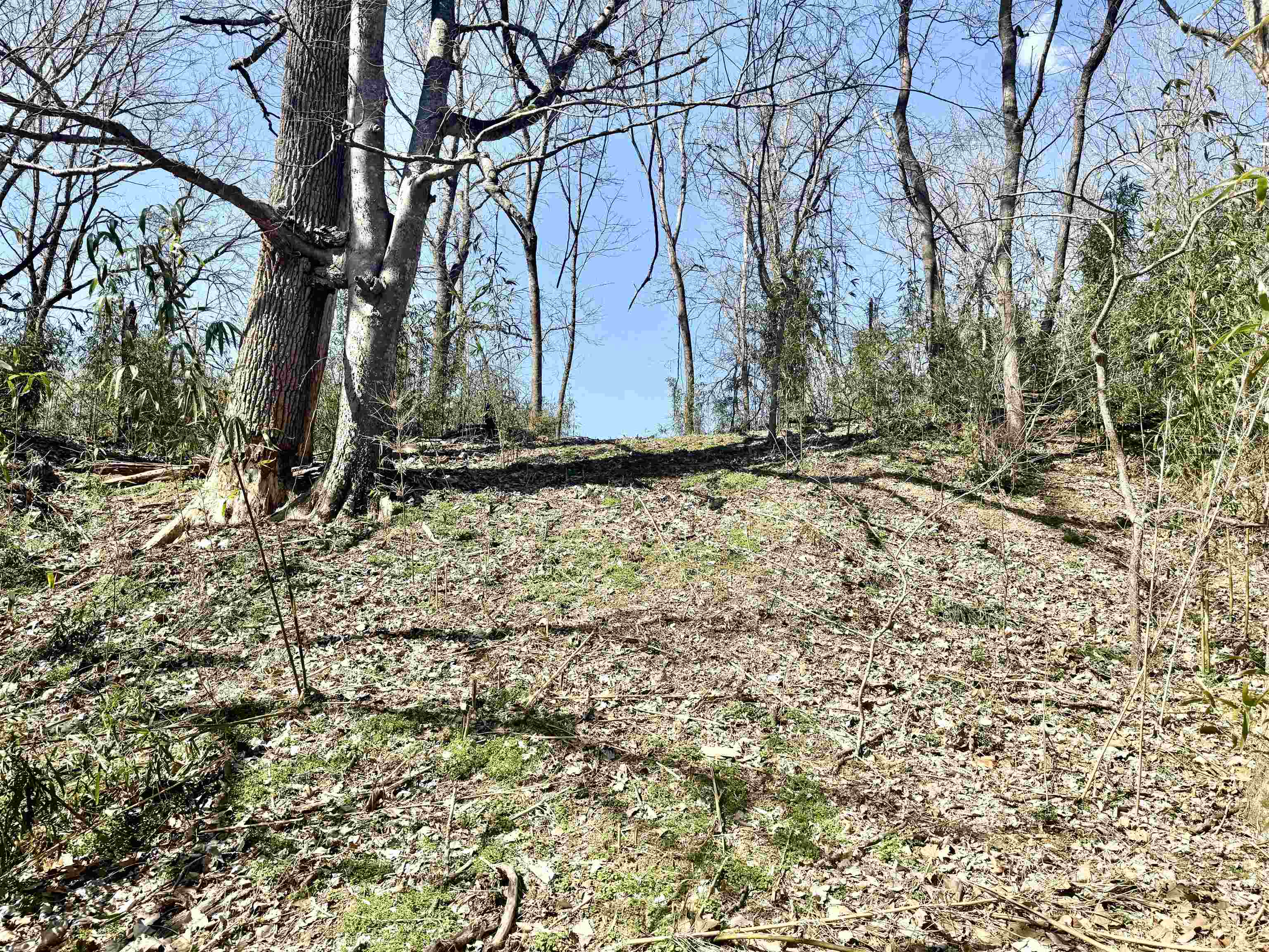 River Oaks - Land