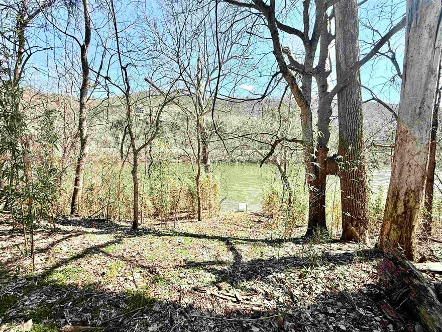 OWNER FINANCED RIVERFRONT ACRE AT MOUNTAIN VIEW, ARKANSAS This beautiful one-acre riverfront tract features 126 feet of frontage along the scenic White River. The property on a private road, just 2.5 miles up Hwy 5 from Anglers Restaurant & Trout Dock and 1.5 miles from Jack’s Trout Dock and Jo jo’s Catfish Restaurant. It’s also conveniently located near the Ozark National Forest, the Ozark Folk Center, and Blanchard Springs Caverns. It’s approximately 7 miles north of Mountain View. The cleared section of land makes for an ideal building site, while the high bank offers big and pretty timber, sloping gently down to the river. Whether you’re looking to build a home, or cabin retreat, this scenic 1 acre tract offers the ideal setting—just minutes from all the best that Mountain View has to offer. Priced at $85,000. The owner is also offering financing on this tract with a 15% down payment.