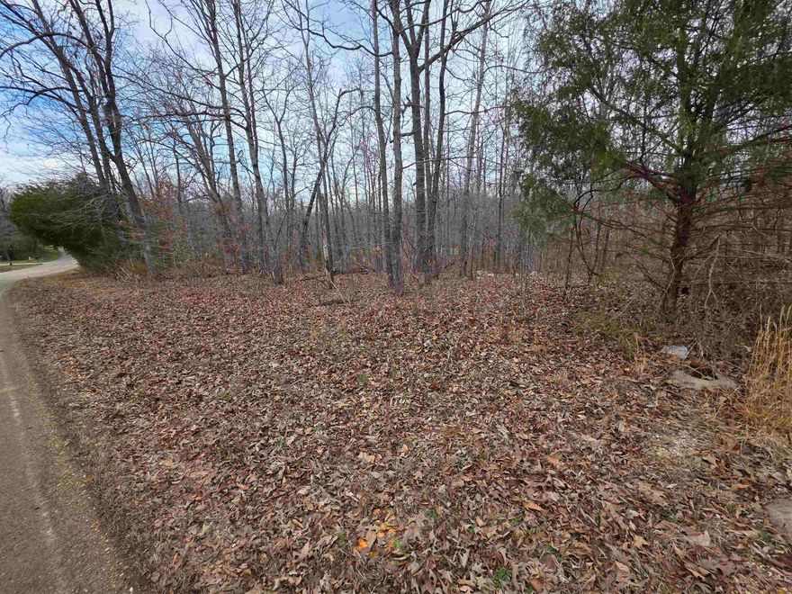 Nice lot on Summit Ridge Rd. One of the main throughfares in Ozark Acres. This lot has great road frontage and a gentle downslope down to a small valley and powerline easement. Power and water are available at the street. Schedule some time to ride out and get a look at this lot and pick your spot to build you vacation cabin, a winter home or even your forever home. Ozark Acres has 2 lakes and is located just down the road from Ole Hardy town for great shopping, dining and entertainment. Not to mention the beautiful Spring River. There are 5 other lots available as well all right next to each other.