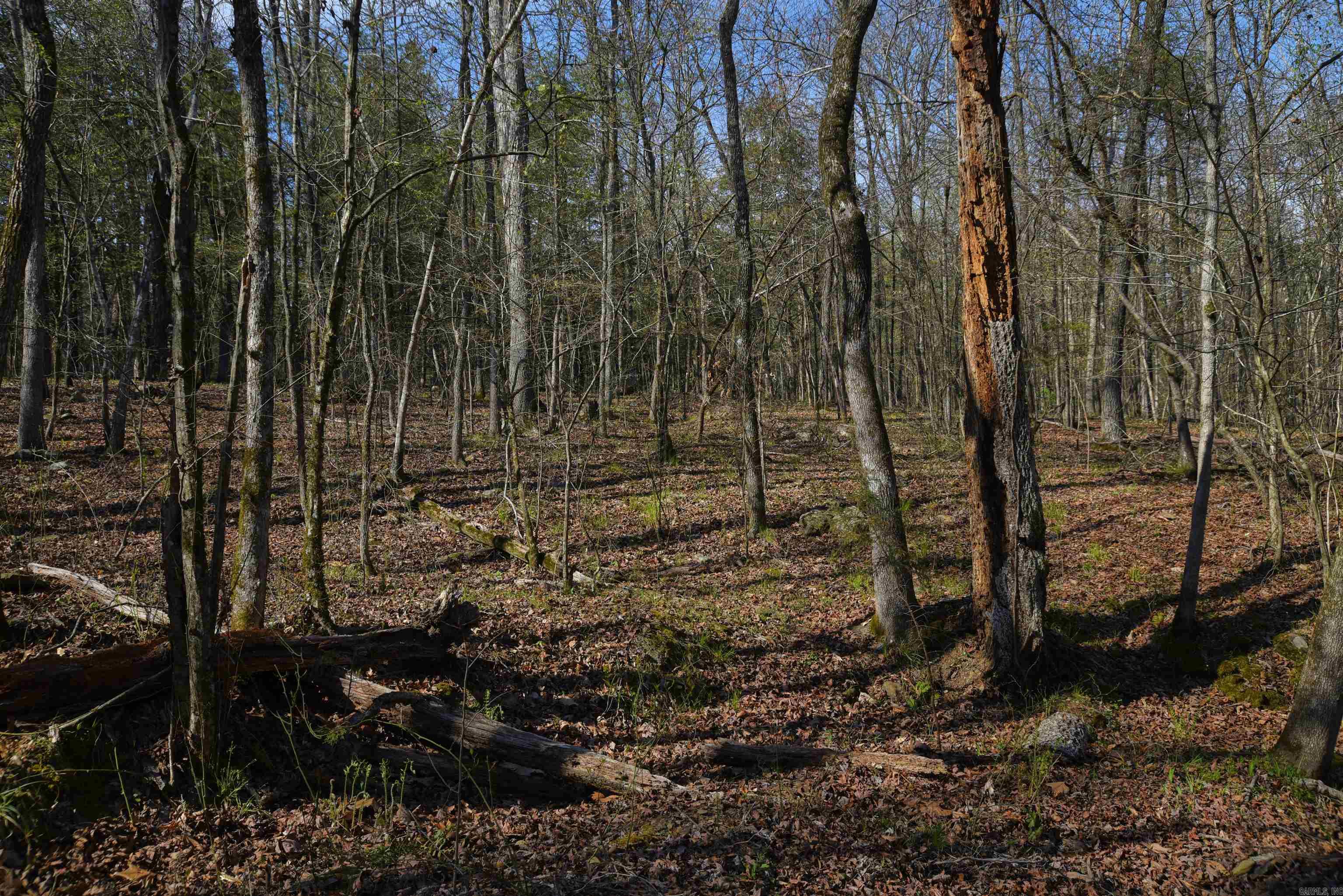 Metes & Bounds - Land