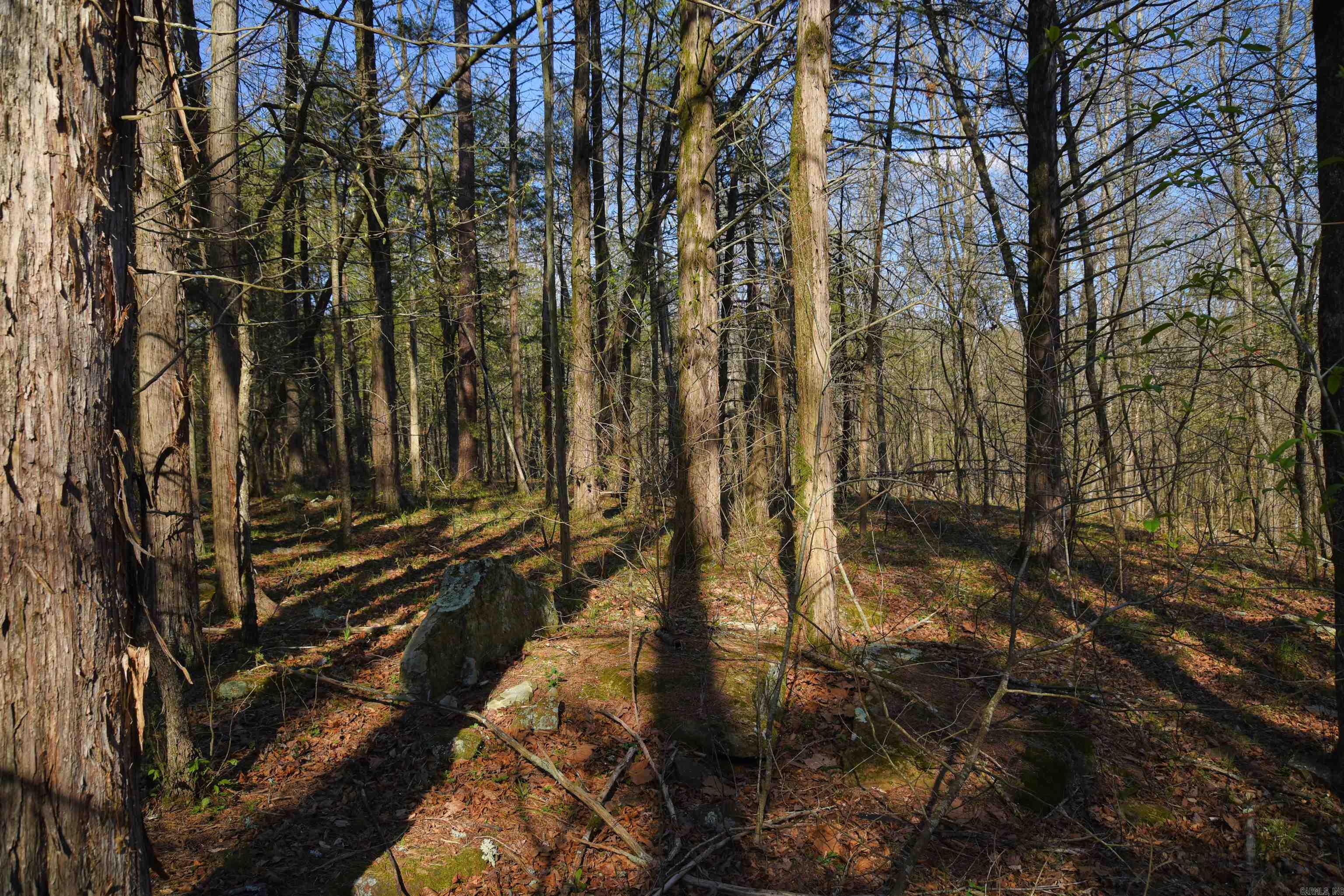 Metes & Bounds - Land