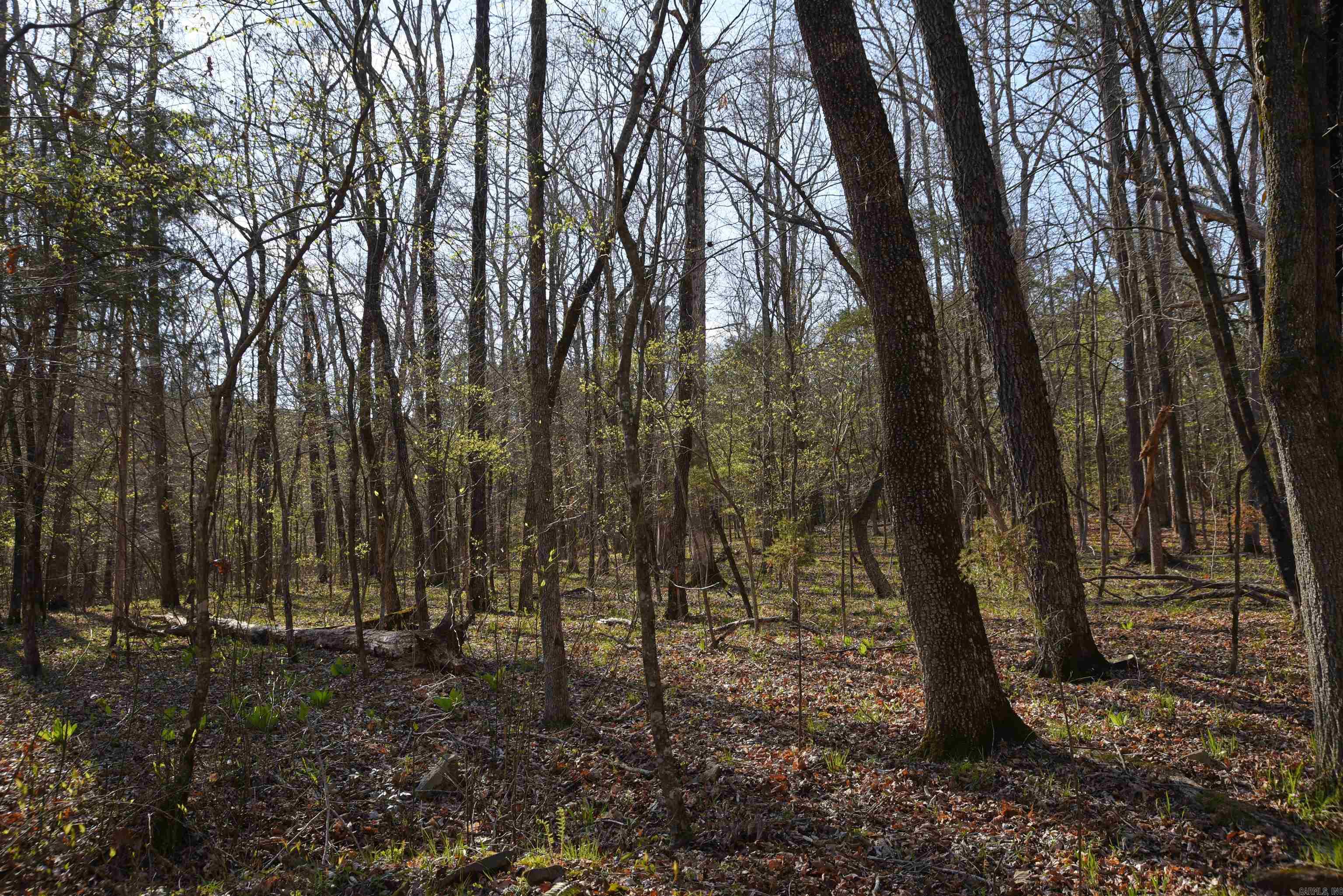 Metes & Bounds - Land