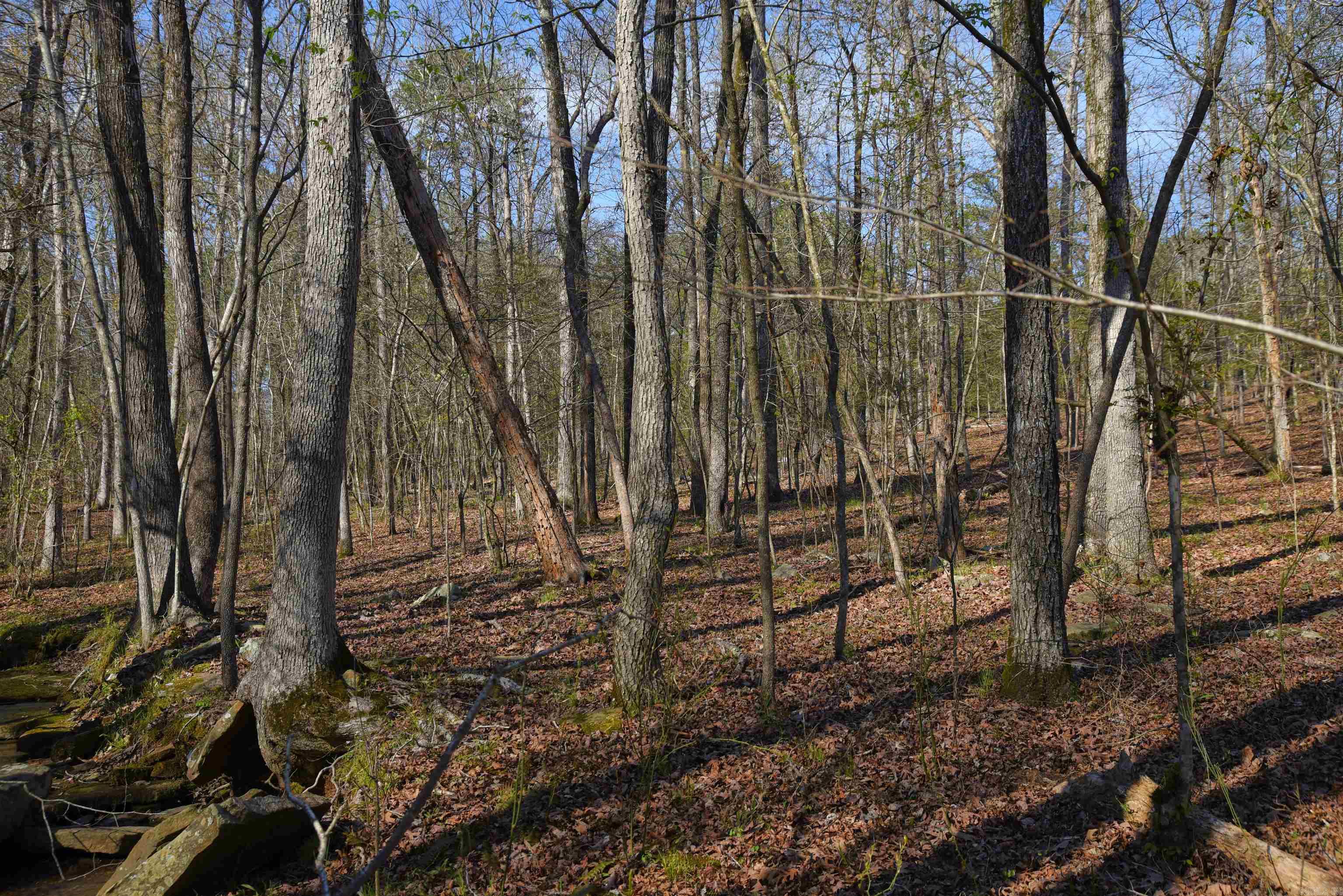 Metes & Bounds - Land