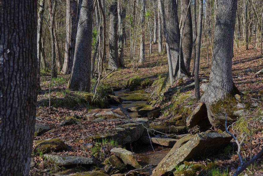 Get away from it all & enjoy the peaceful sound of the creek from your front porch. 10 acres of hardwoods, pine and cedar trees with several perfect building sites. You’ll see lots of wildlife and fireflies and hear the night sounds typical of the Ozark Mountains. Paved road access & utilities are at the road. Just 1/2 mile to a boat ramp on the Middle Fork. Close to hiking, mountain biking and ATV trails. This is the dream property you've been looking for! Many nice homes in the area, but very private.