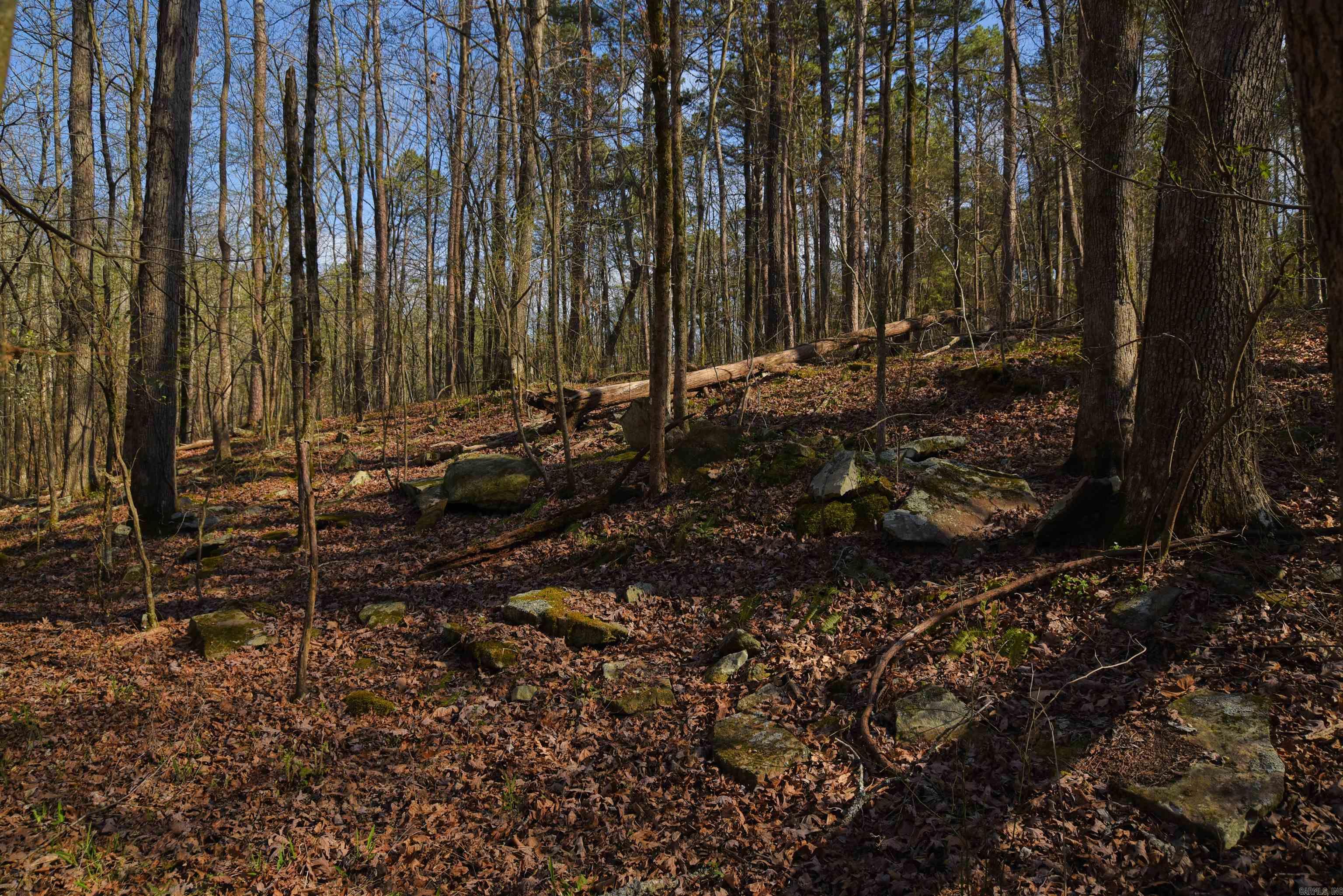 Metes & Bounds - Land