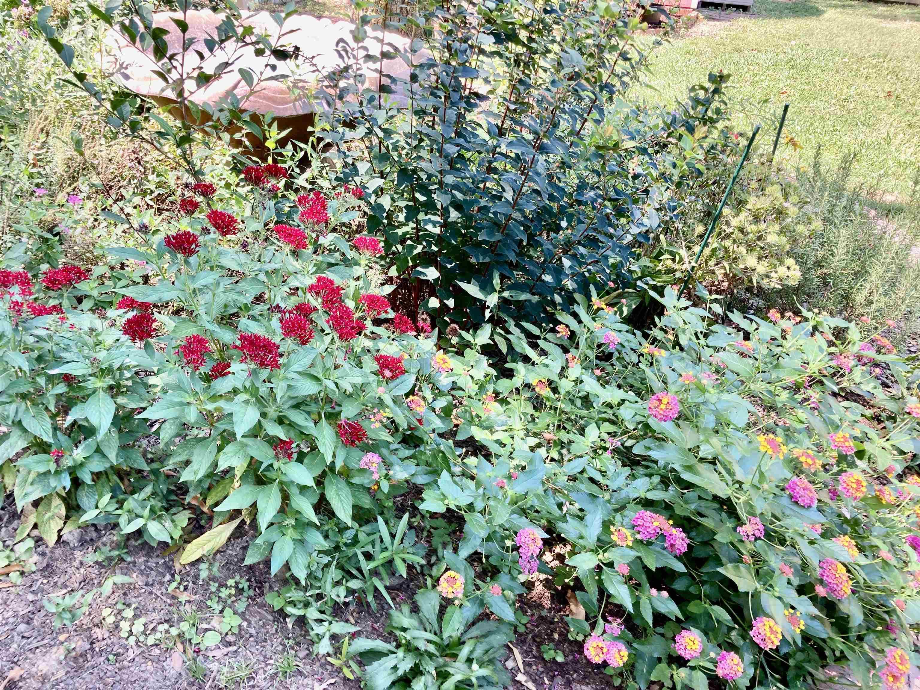 COBBLESTONE - Residential