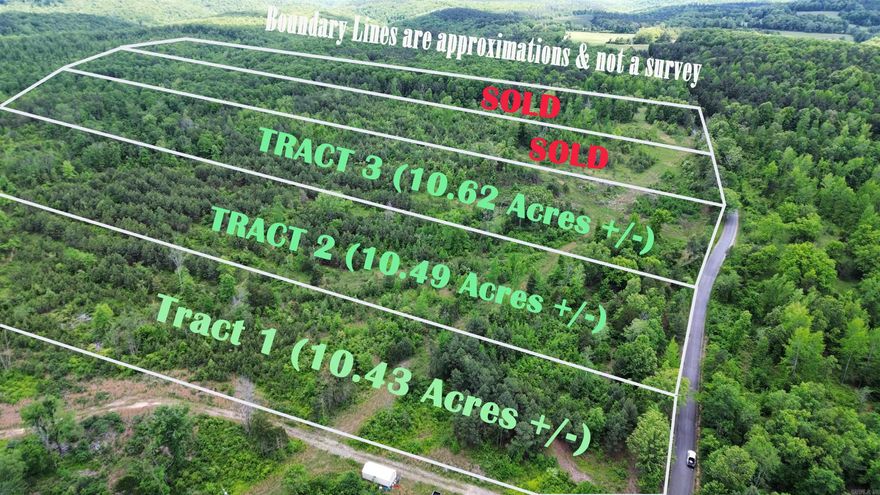 Tract 3 of 3 remaining! This tract measures 10.62 Acres +/-. Get away from the city life and come own a piece of rural Shirley. No restrictions. Not in flood zone. These tracts have road frontage to Shady Grove Rd making the access very convenient. Utilities are at the road. Septic system subject to health department approval. We have a survey on file. Take a look at the other listings for Tract 2 (measuring 10.49 Acres +/-) and Tract 1 (measuring 10.43 Acres +/-). Come take a look!