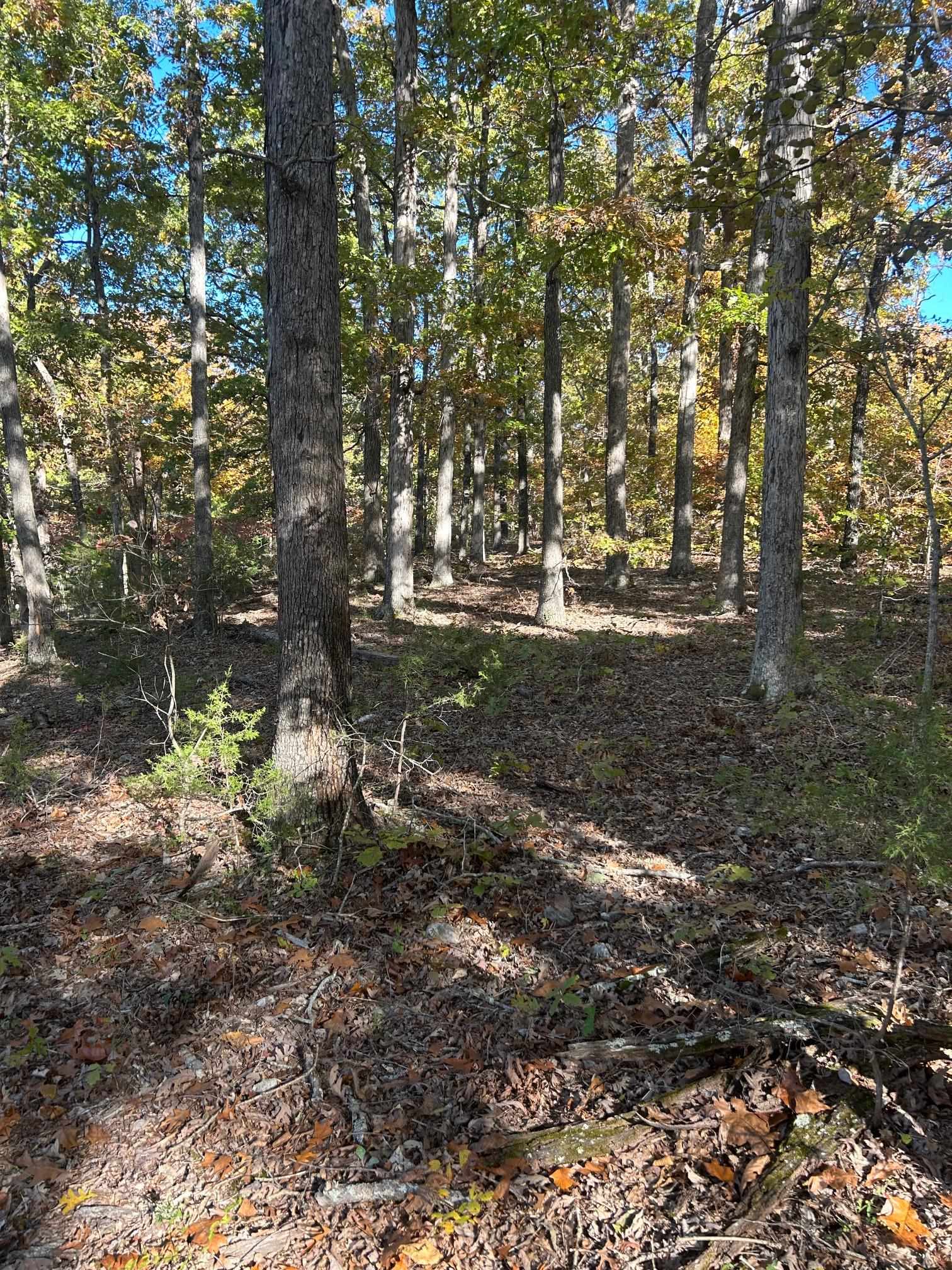 Metes & Bounds - Land