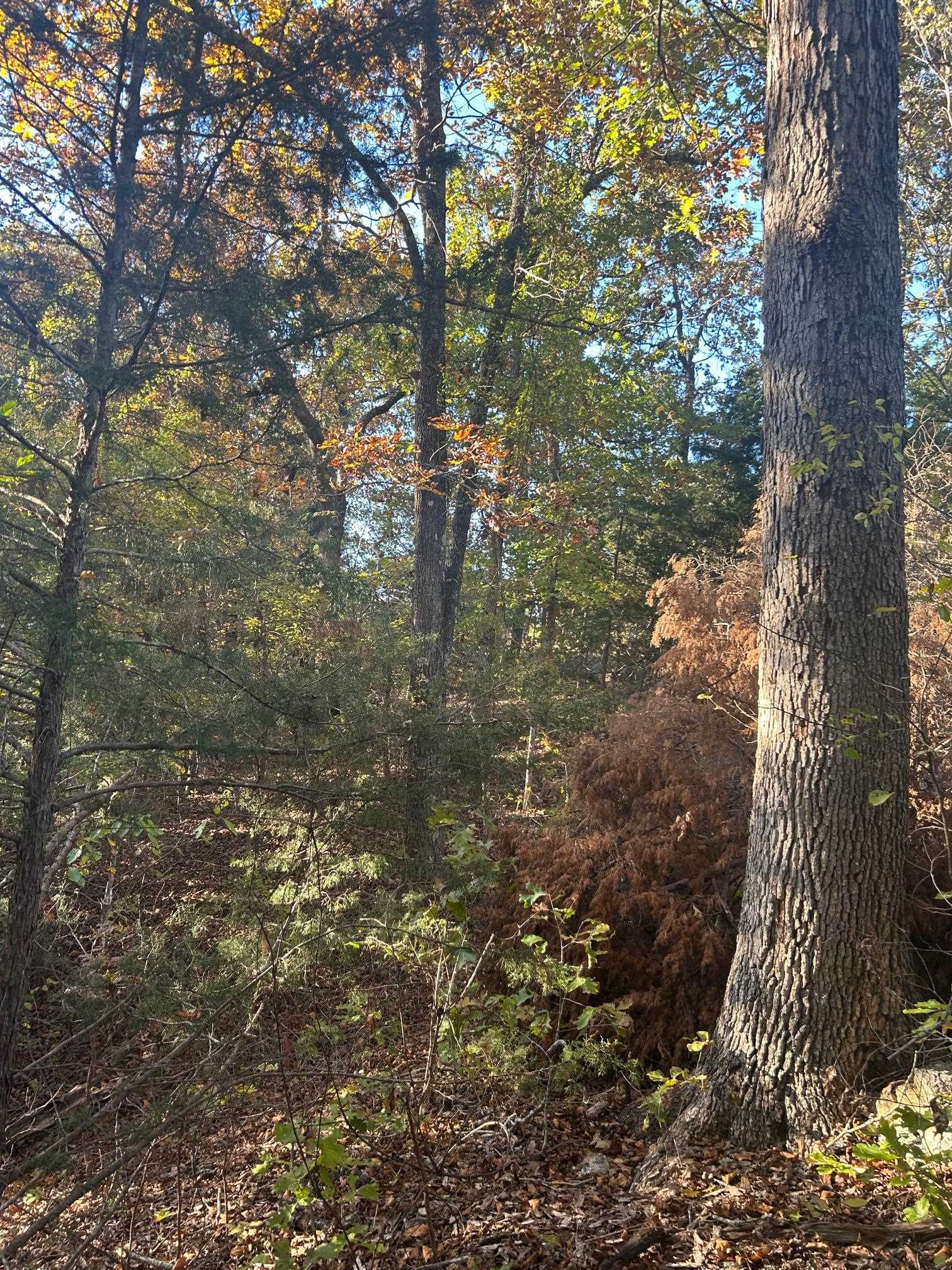 Metes & Bounds - Land