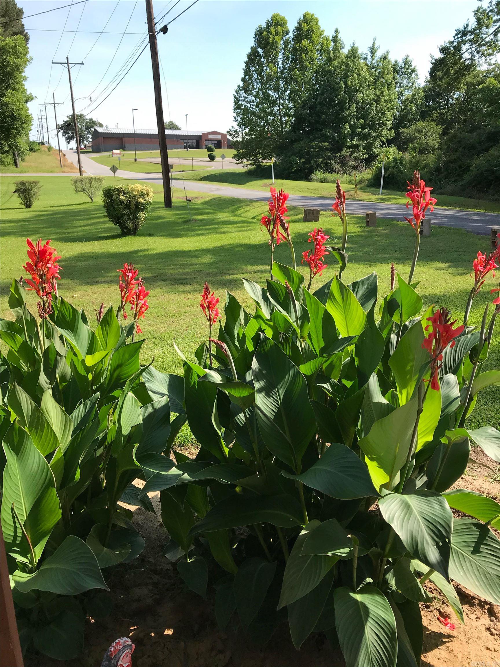 BALD KNOB OUTLOTS - Residential