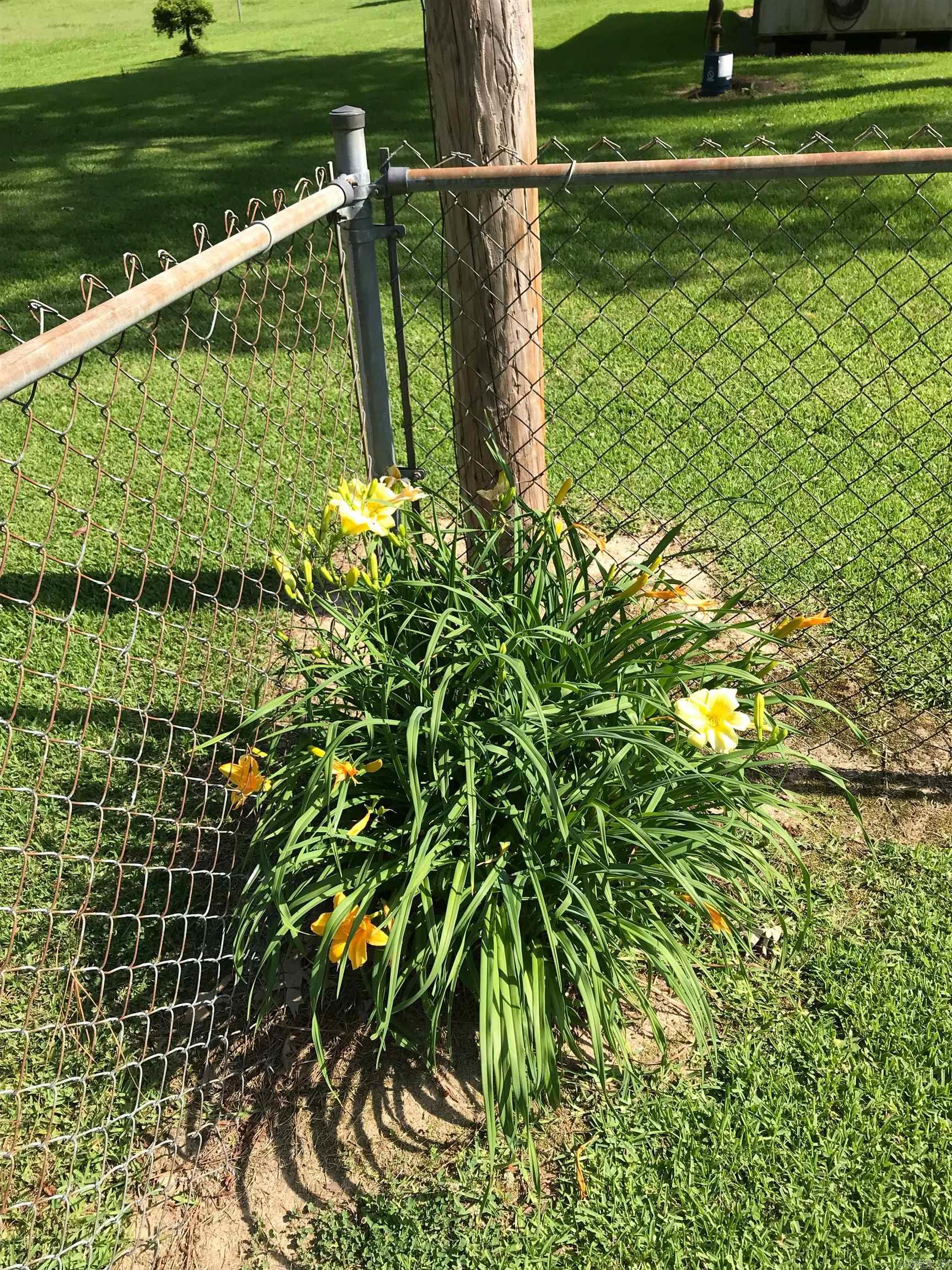 BALD KNOB OUTLOTS - Residential