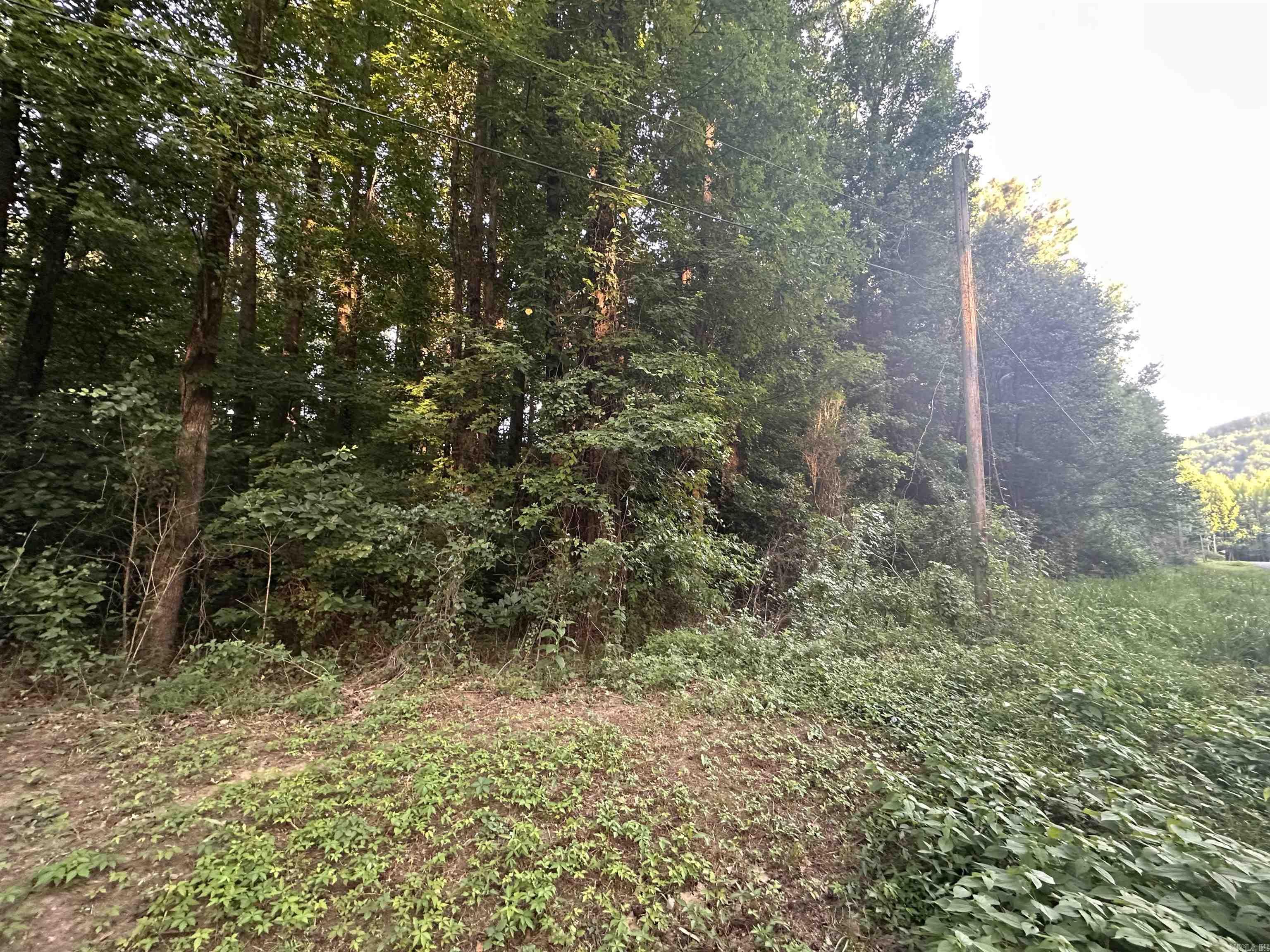 Nice level lot close to river. 0.55 Acres, could put a tiny home or camper on it. 2 miles to Lobo landing boat launch area and 1 mile to libby shoals walk in fishing access.