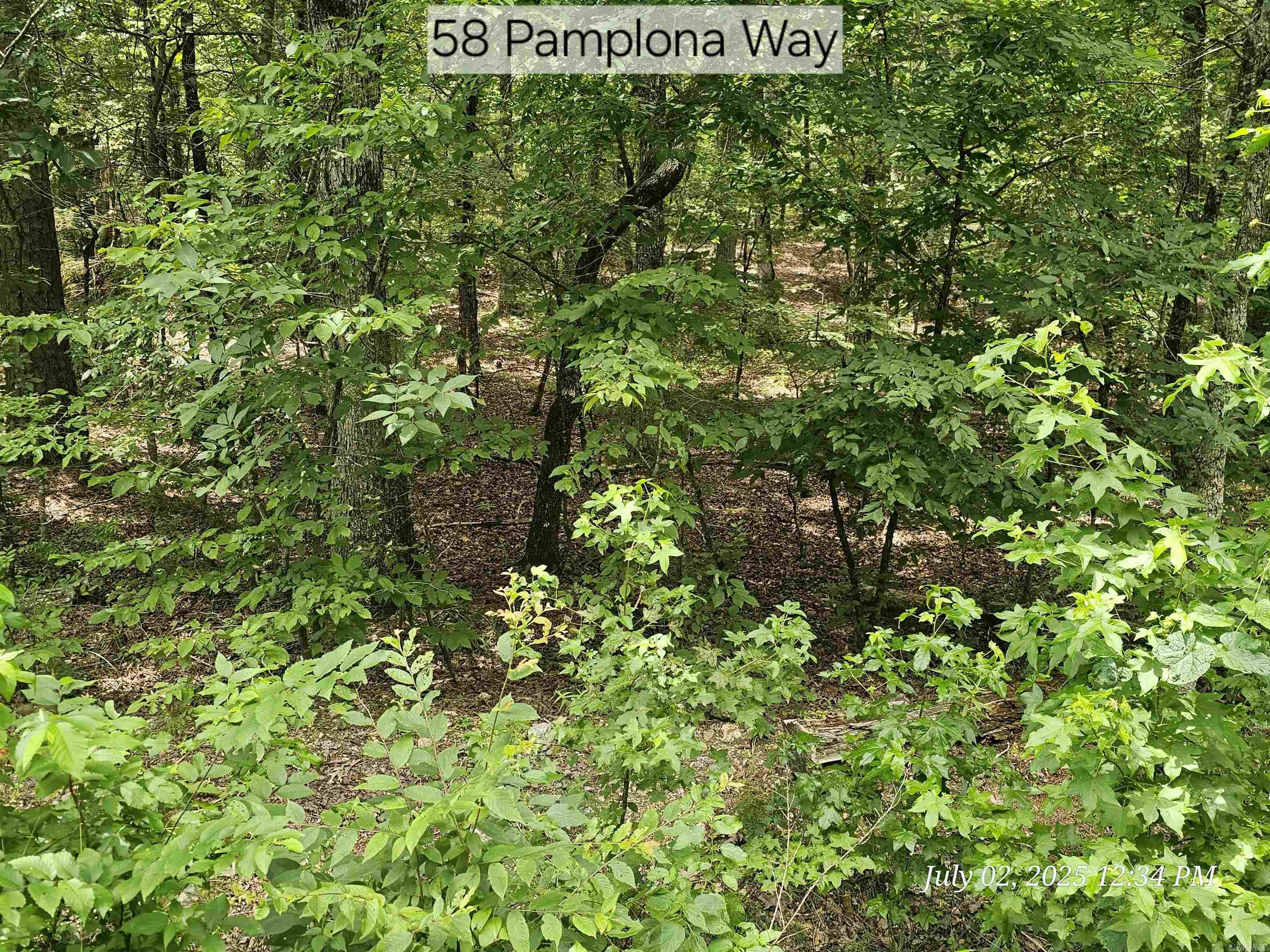 Nice, level lot on the east side of Hot Spring Village with utilities present. Bring your home plans and builder as this lot is ready to be built on.