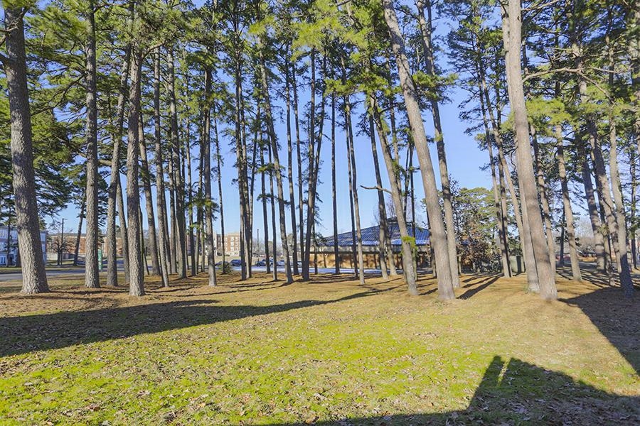 Newtons - Residential