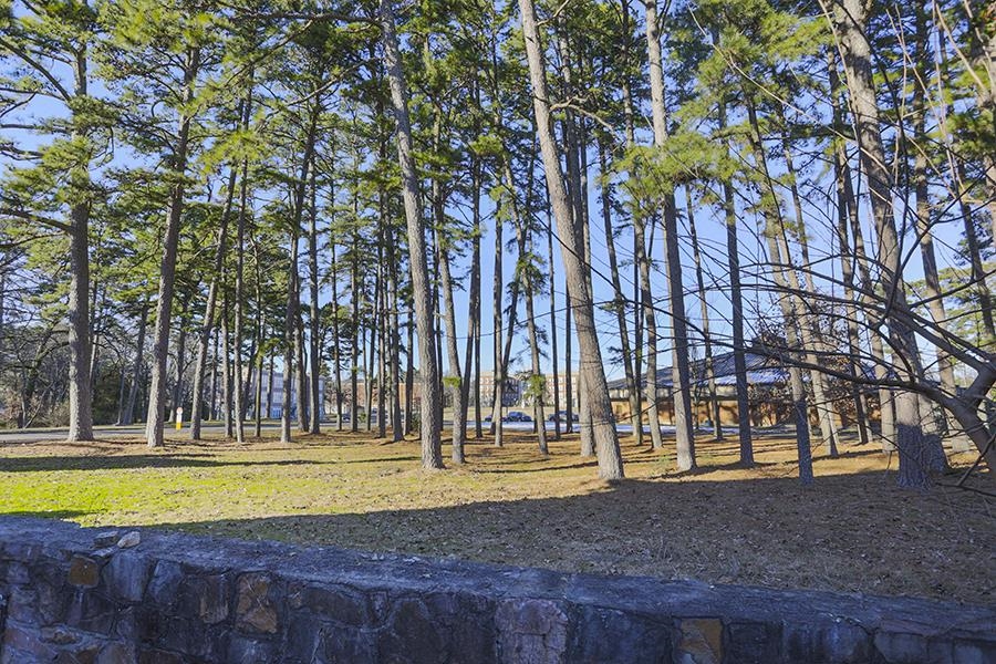 Newtons - Residential