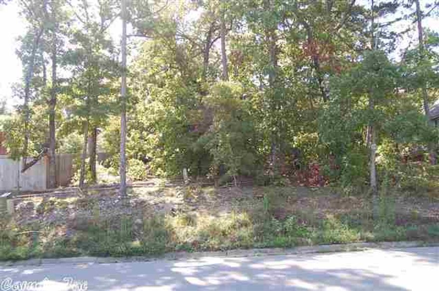 One of the least expensive lots in Chenal Valley - Great opportunity to build in this wonderful established neighborhood on the North slope of Chenal Valley - Walking distance to neighborhood pool and park.  Min. sq. ft. requirements - 1800 for a one level and 2200 for a 2 level.  Call for all forms and building restrictions.