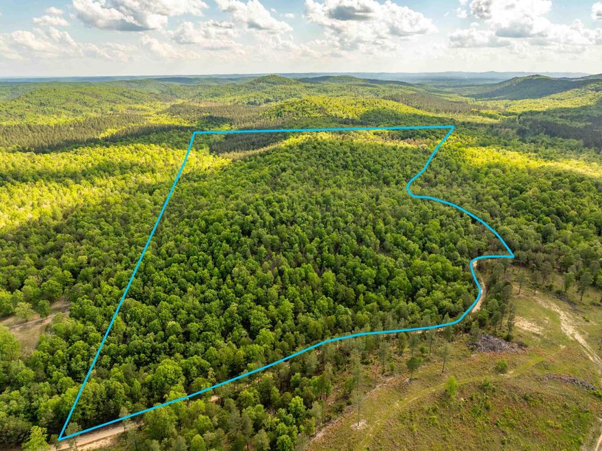 This amazing 30.59 acre tract located in Fountain Lake School Dist. has the perfect hilltop build site if you want a 360° panoramic view!  About 6 1/2 miles to the bypass makes this location not only secluded but accessible to Hot Springs, Hot Springs Village, and Little Rock.  The rolling hills is beautifully wooded with very little underbrush providing easy access to the many trails for hiking, biking, hunting etc.  Come see for yourself that this might be your dream come true.