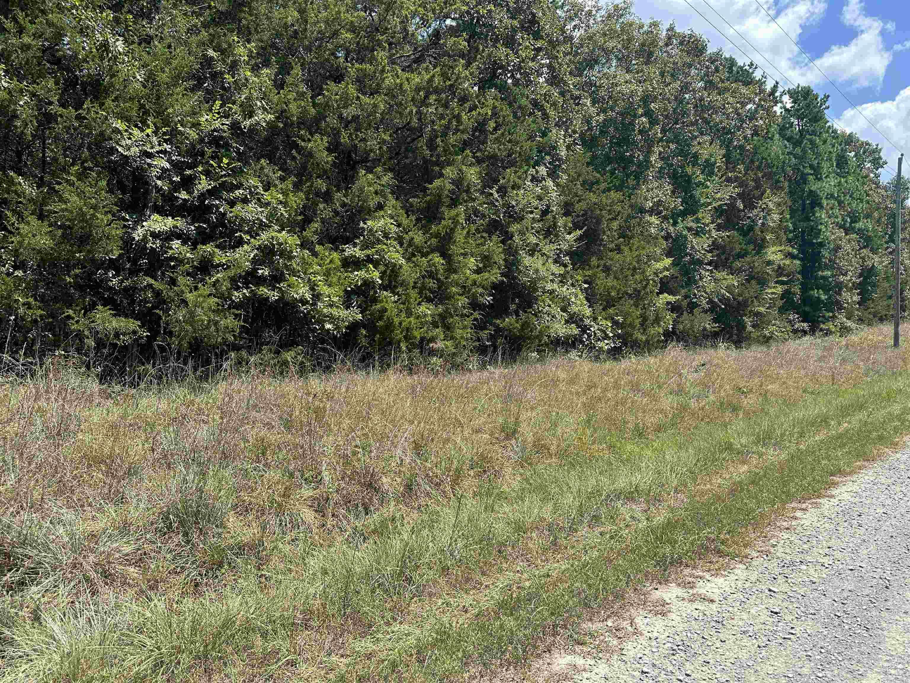 Nice wooded land ready for you to build whatever you can think up. Come to Shiloh park.